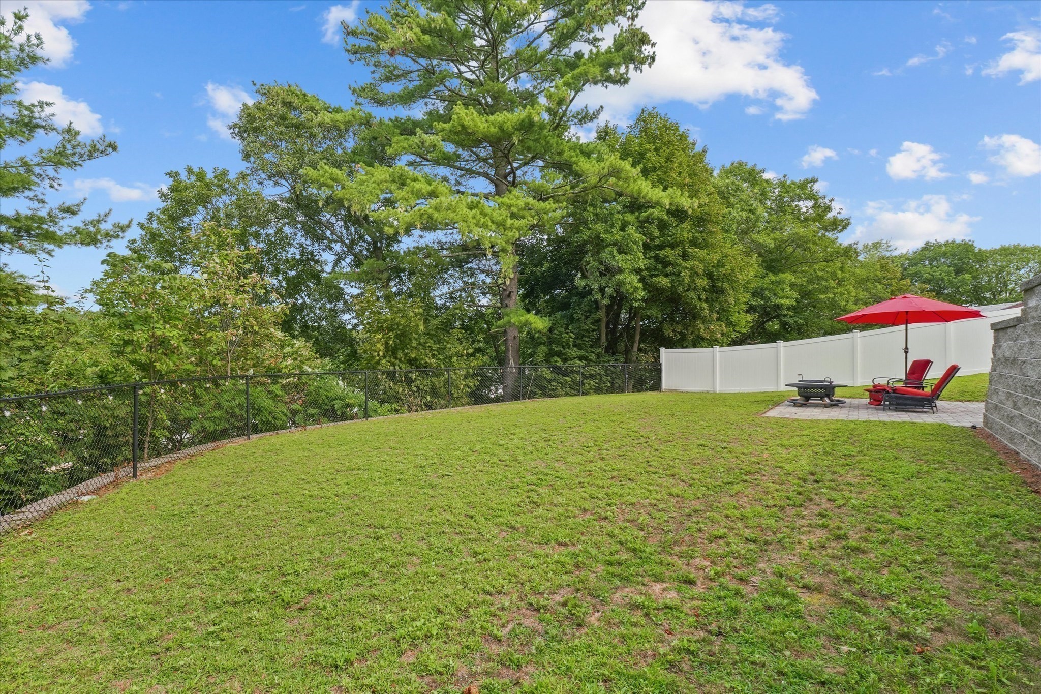 lynn - #73415062