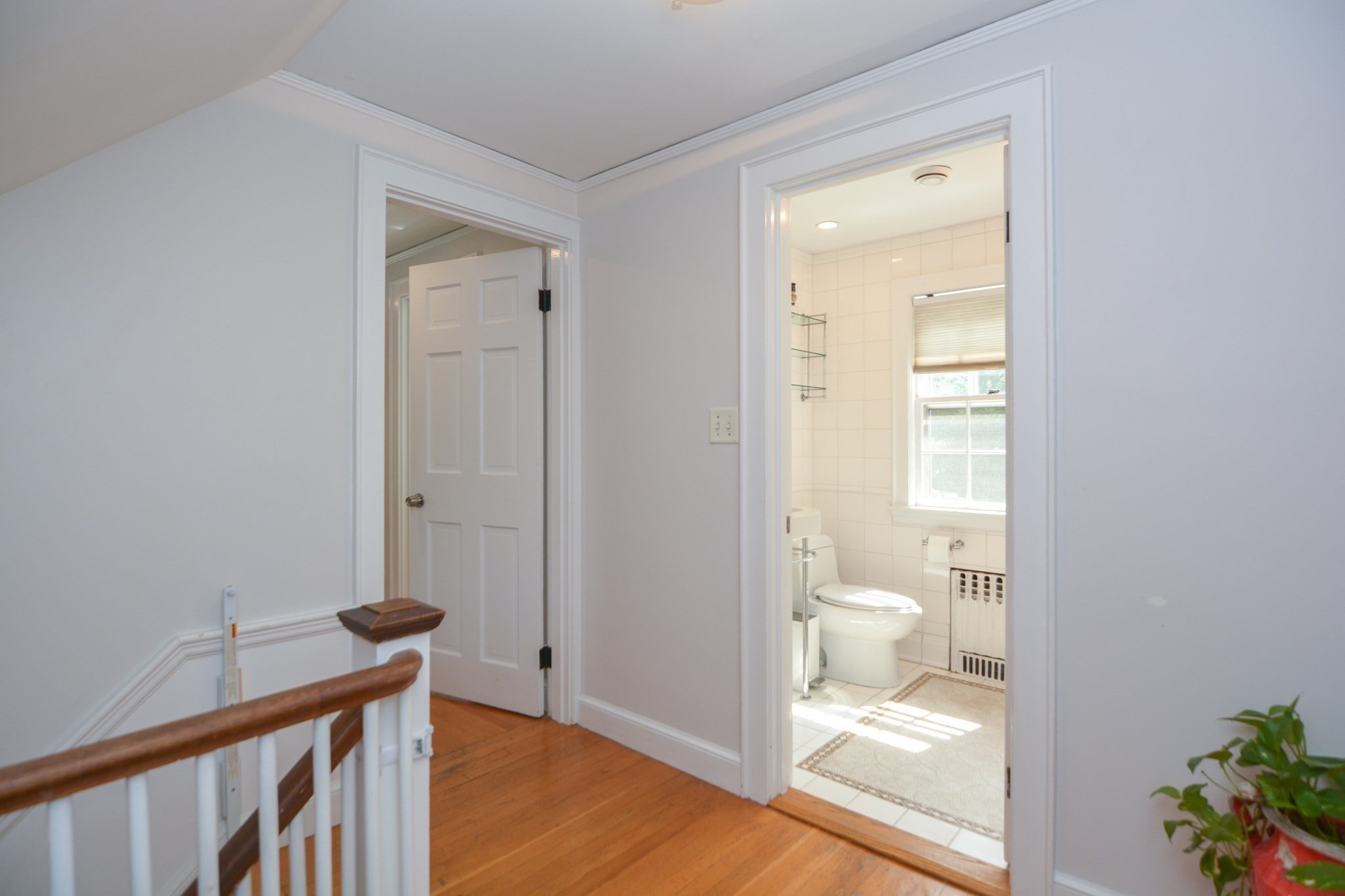 belmont - #73415087