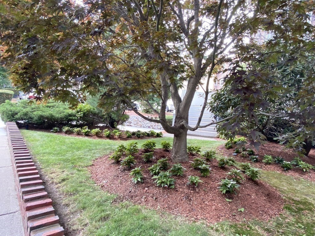 brookline - #73415210