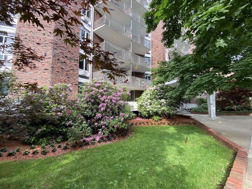 brookline - #73415210
