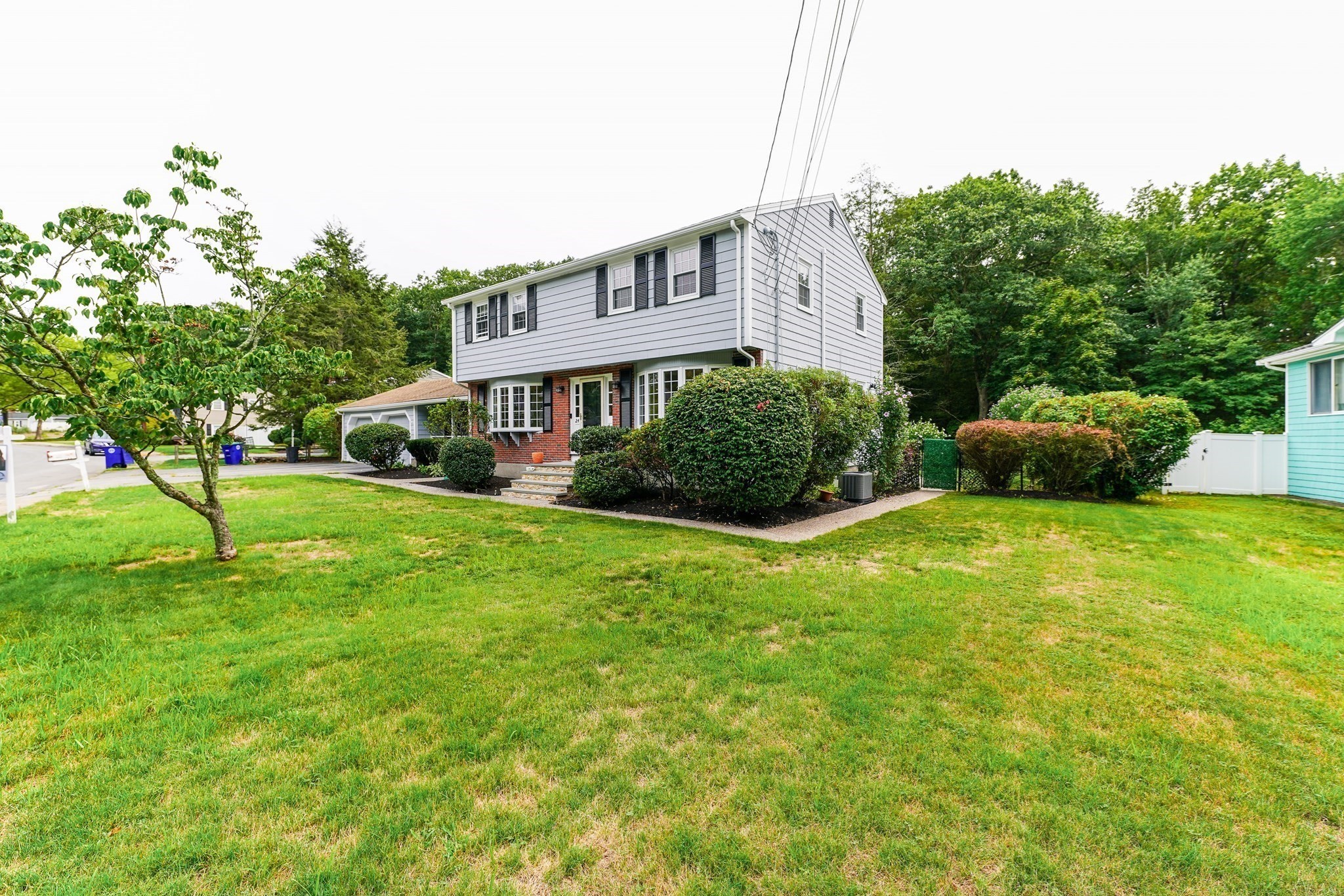 braintree - #73415296