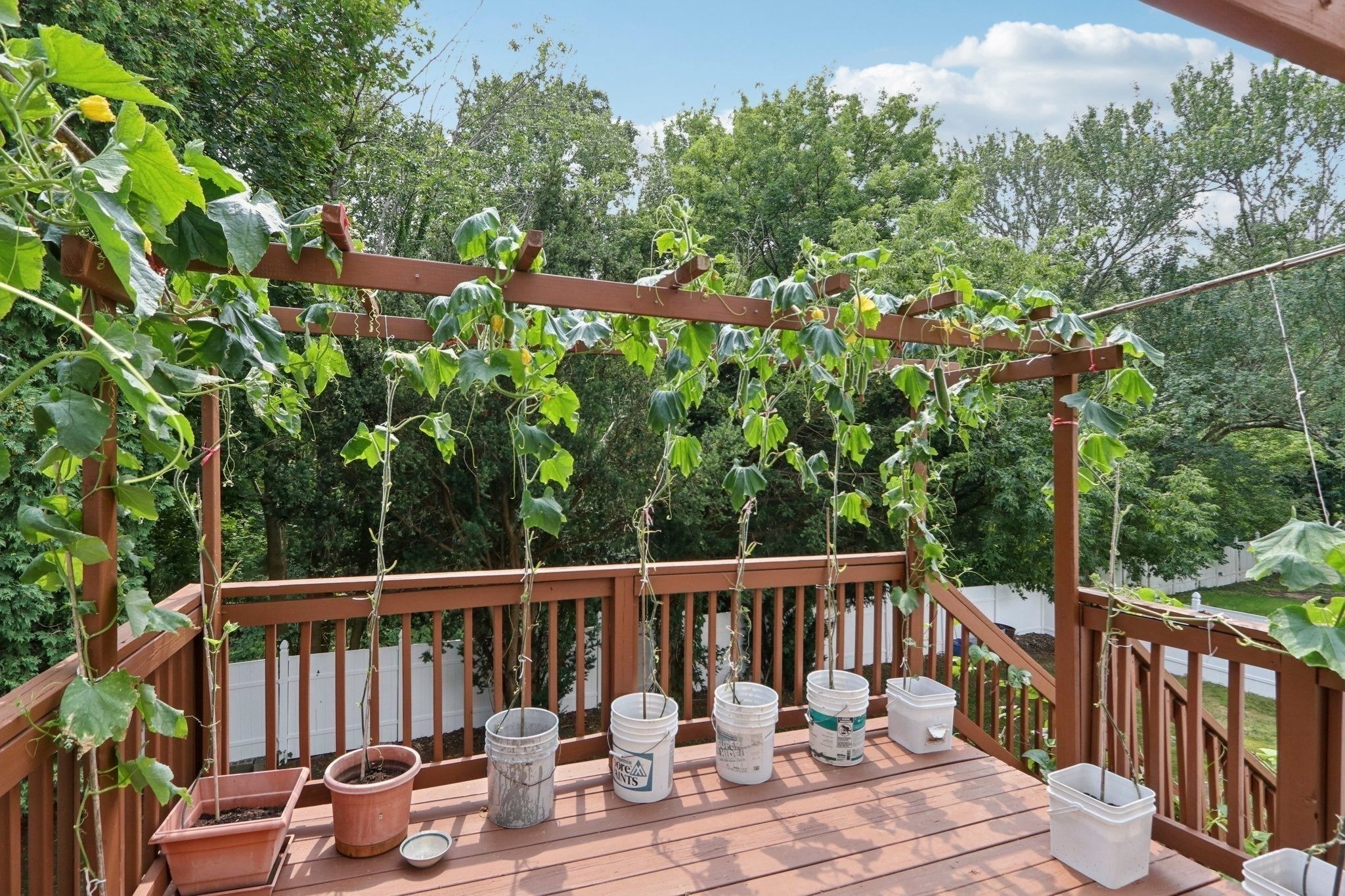 469 North Street, Randolph, MA 02368 - Image 35