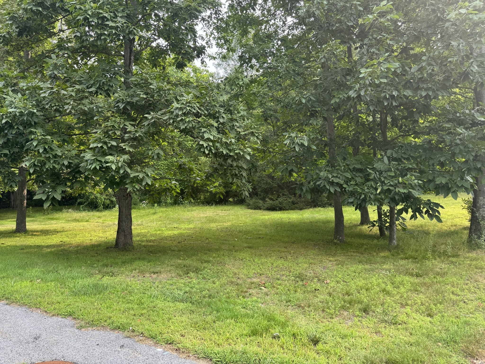 0 Main St, Hardwick, MA 01037 - Image 1