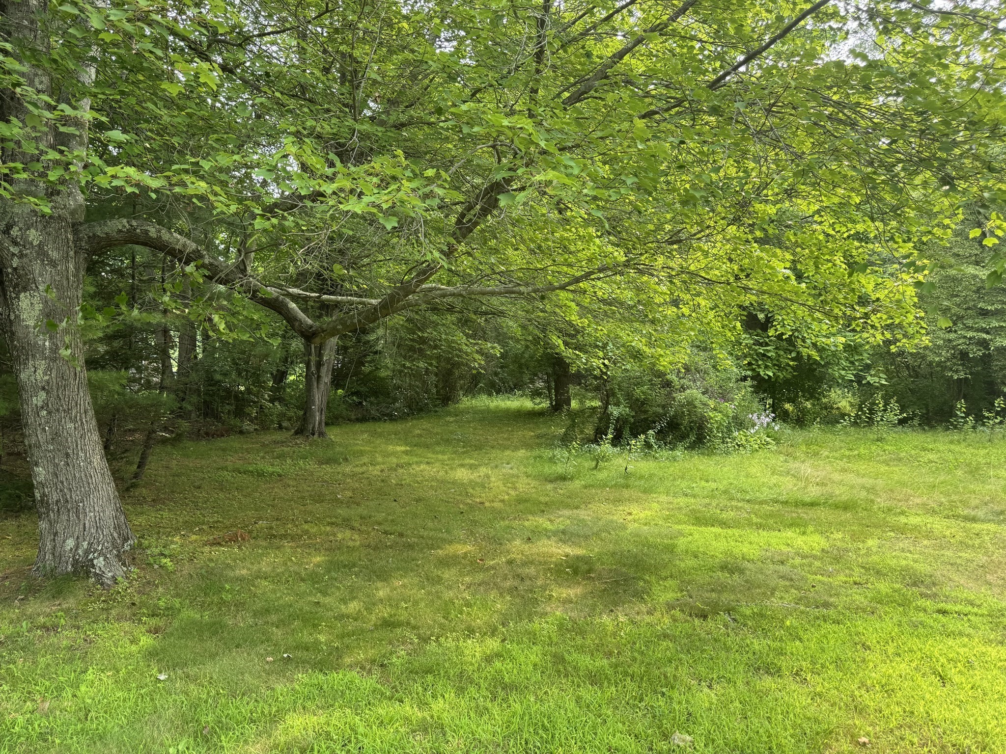 0 Main St, Hardwick, MA 01037 - Image 2