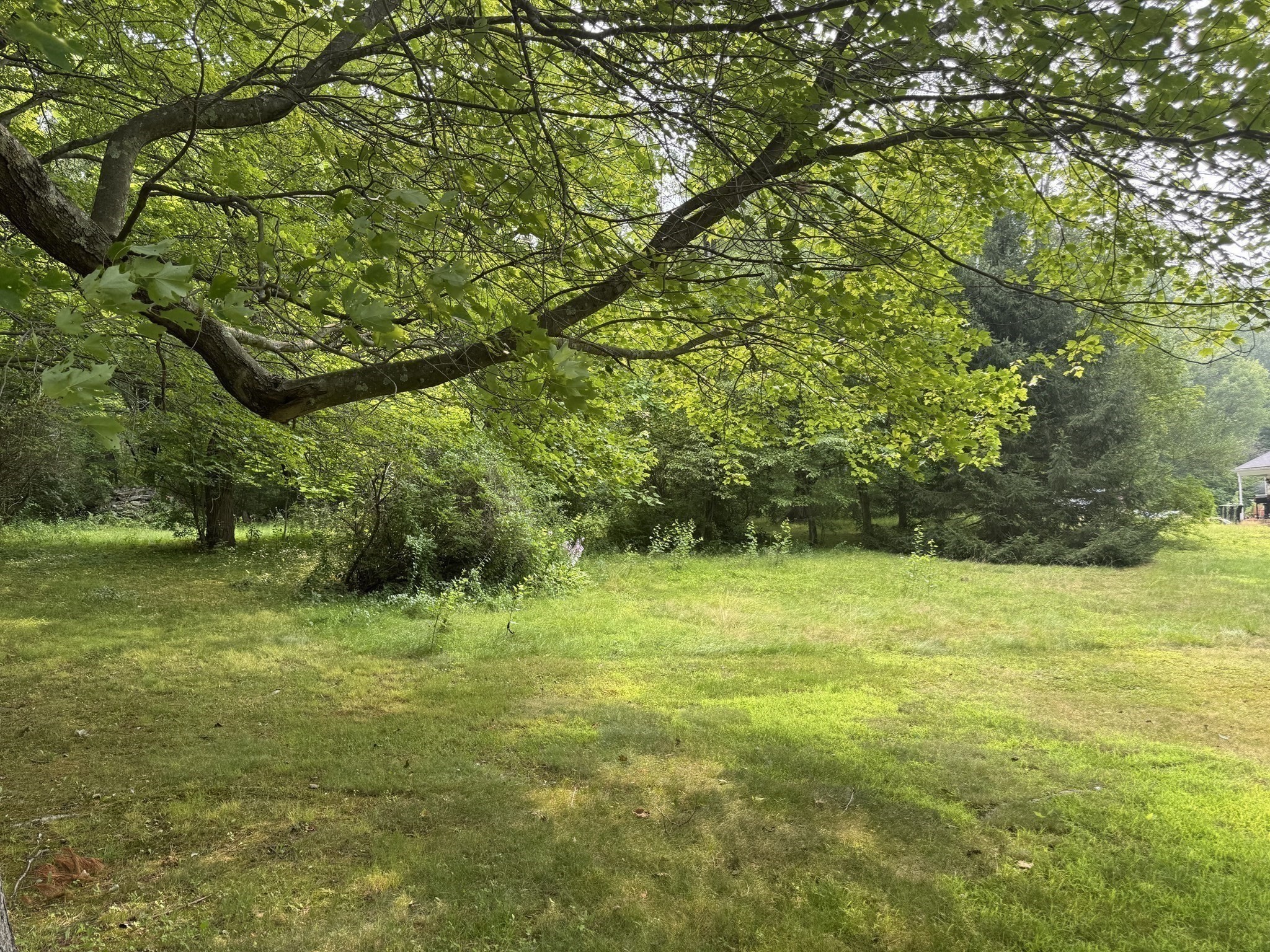 0 Main St, Hardwick, MA 01037 - Image 4