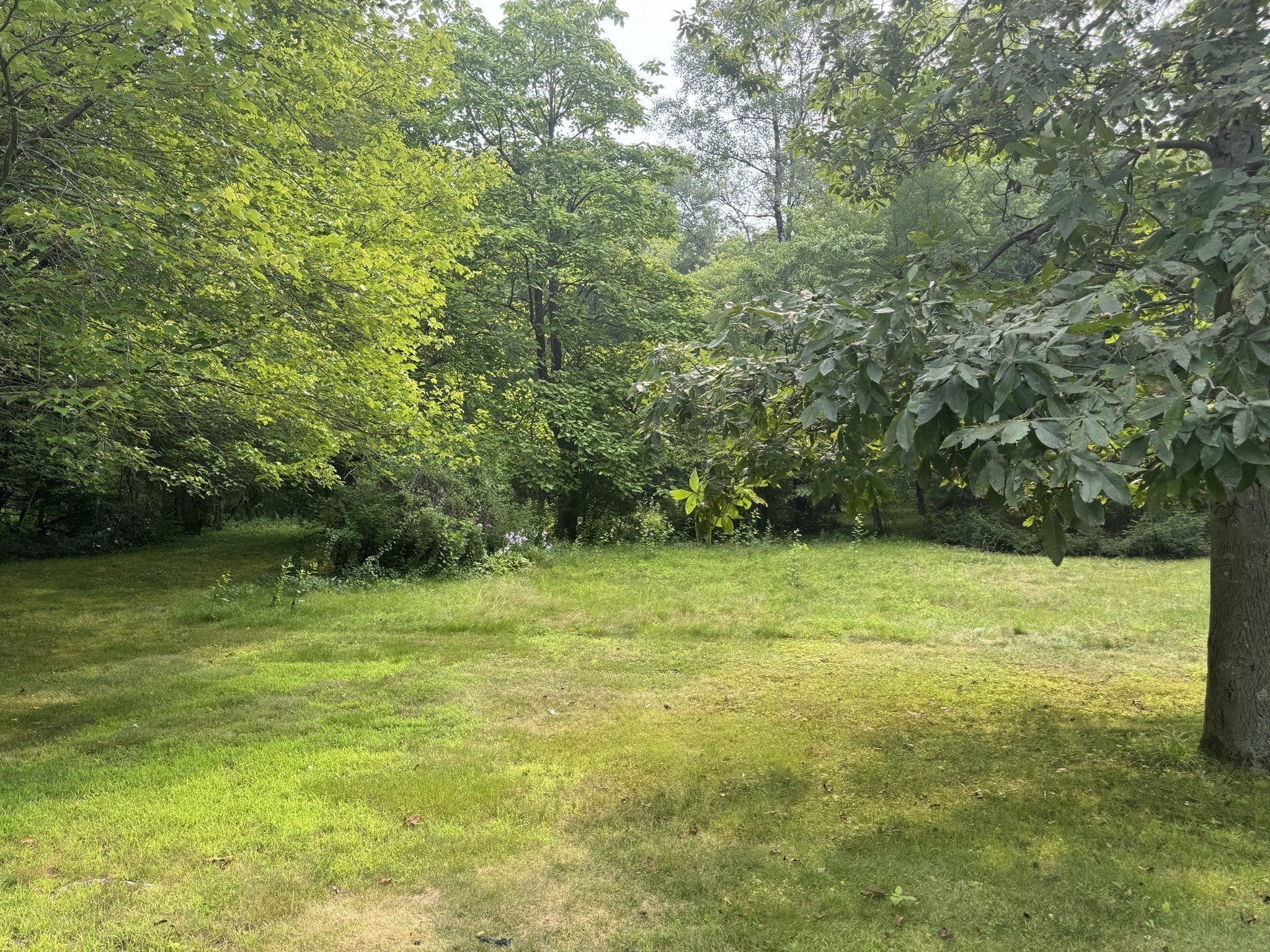 0 Main St, Hardwick, MA 01037 - Image 6