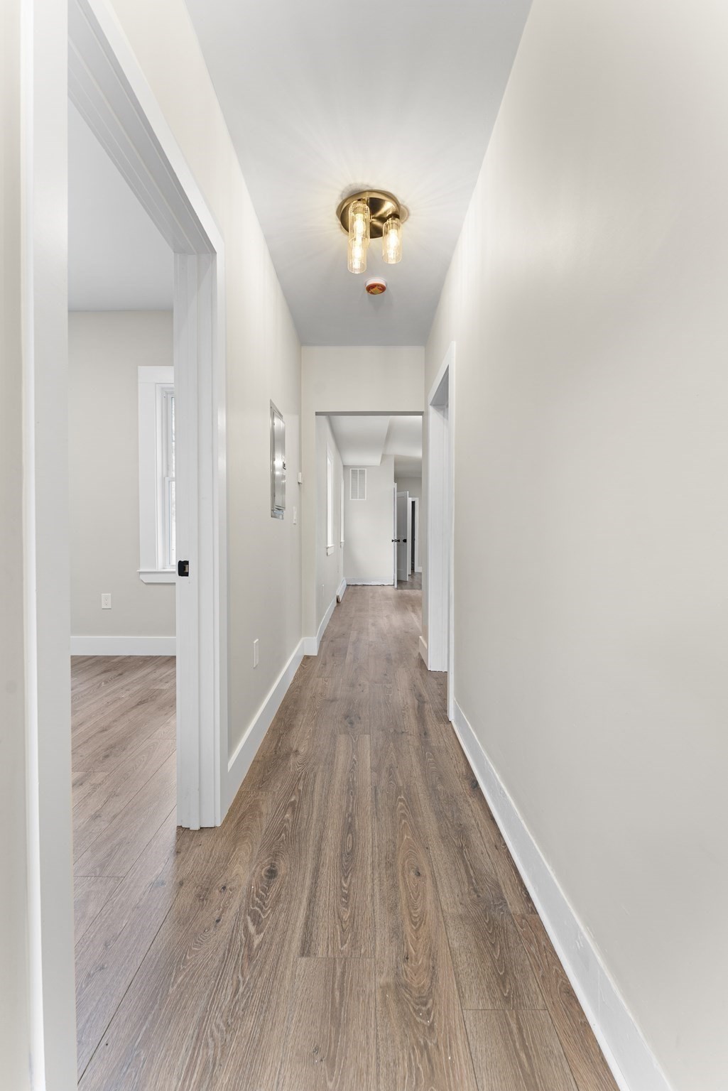 dorchester - #73415334