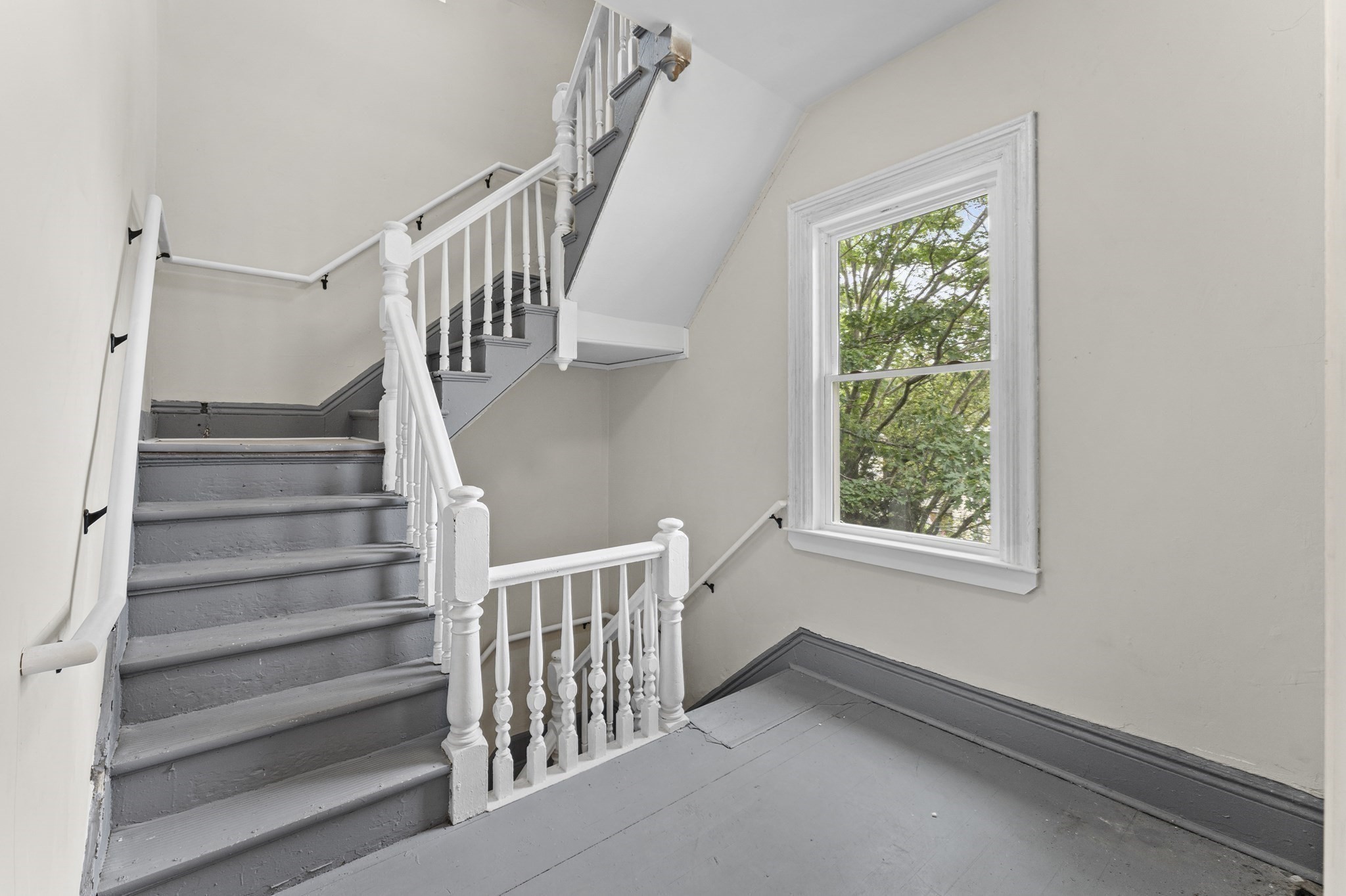 dorchester - #73415334