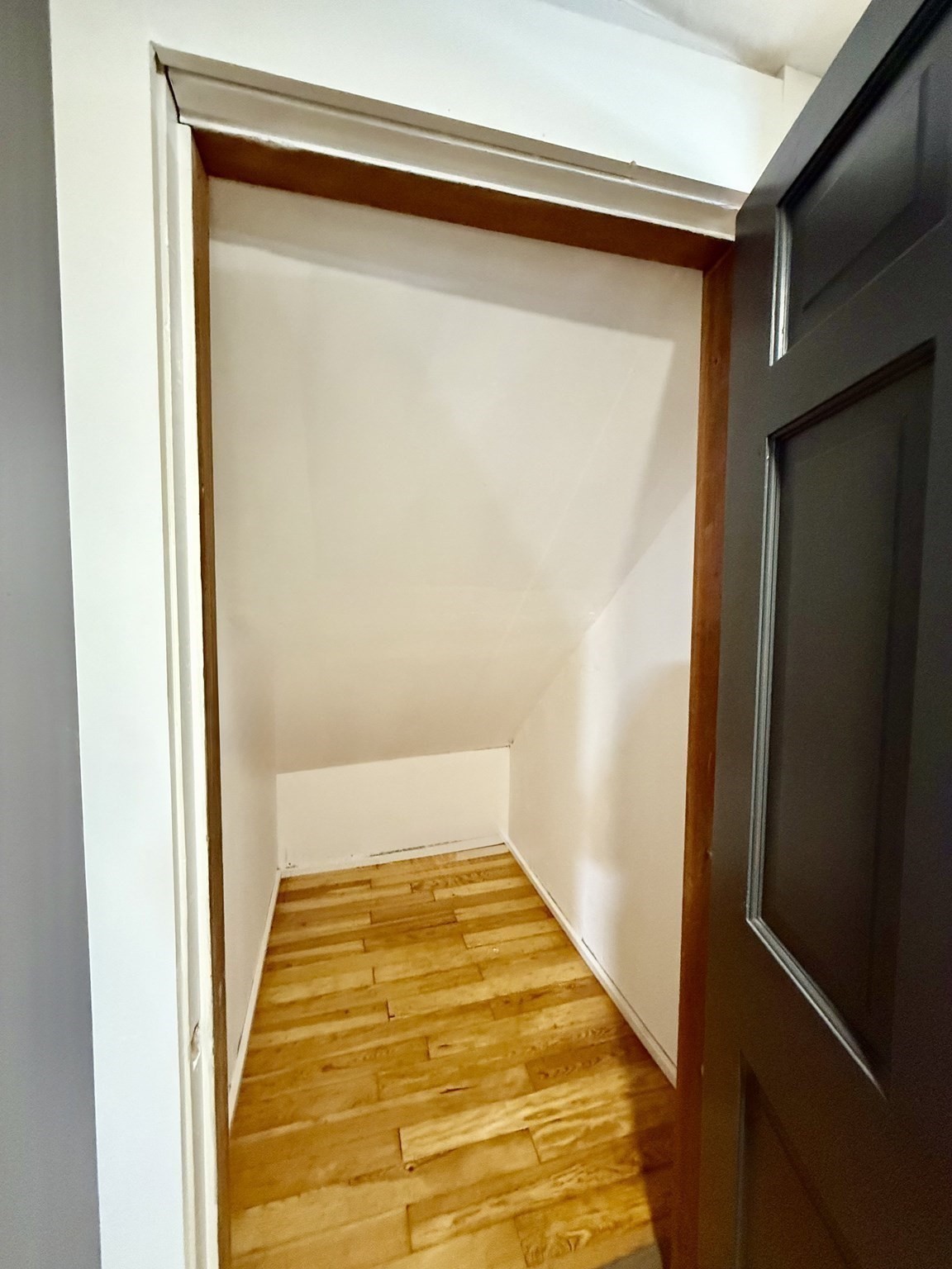 12 Cottage St, Randolph, MA 02368 - Image 13