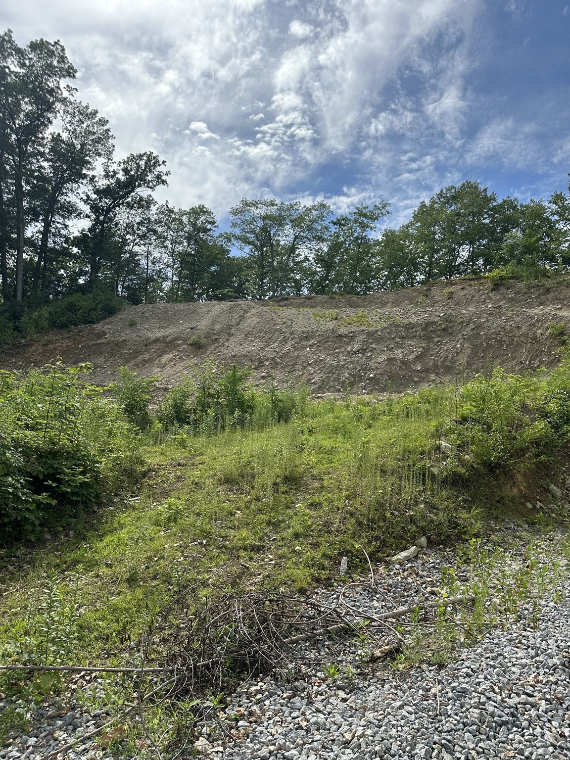 31 Walsh Ave, Auburn, MA 01501 - Image 1