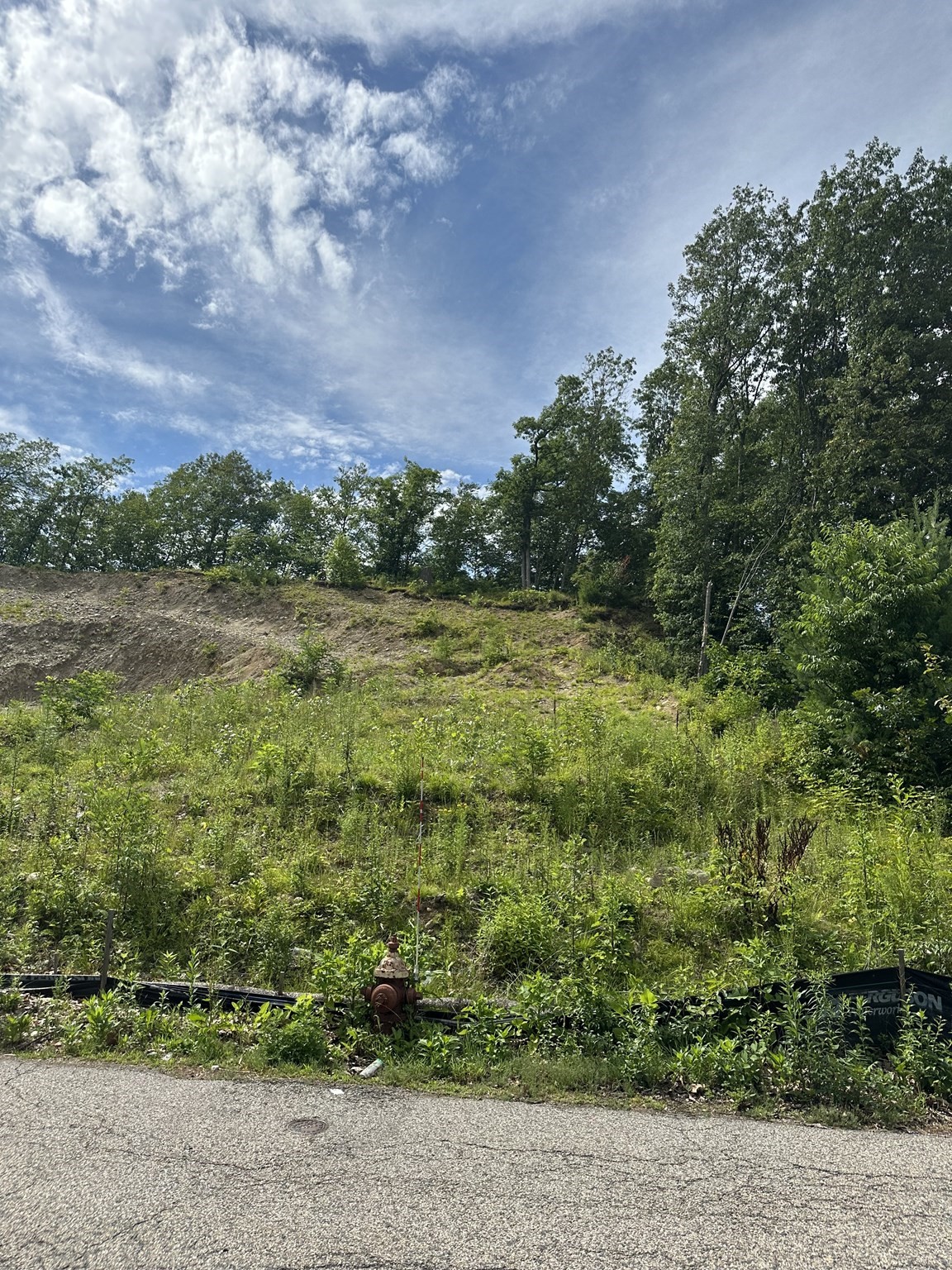 31 Walsh Ave, Auburn, MA 01501 - Image 10