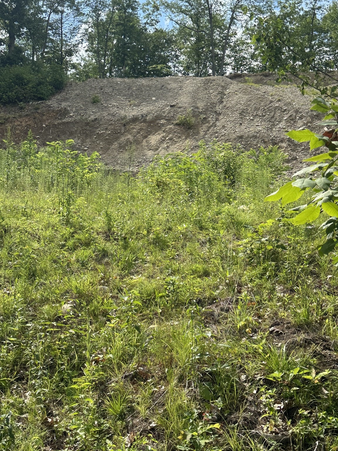 33 Walsh Ave, Auburn, MA 01501 - Image 5