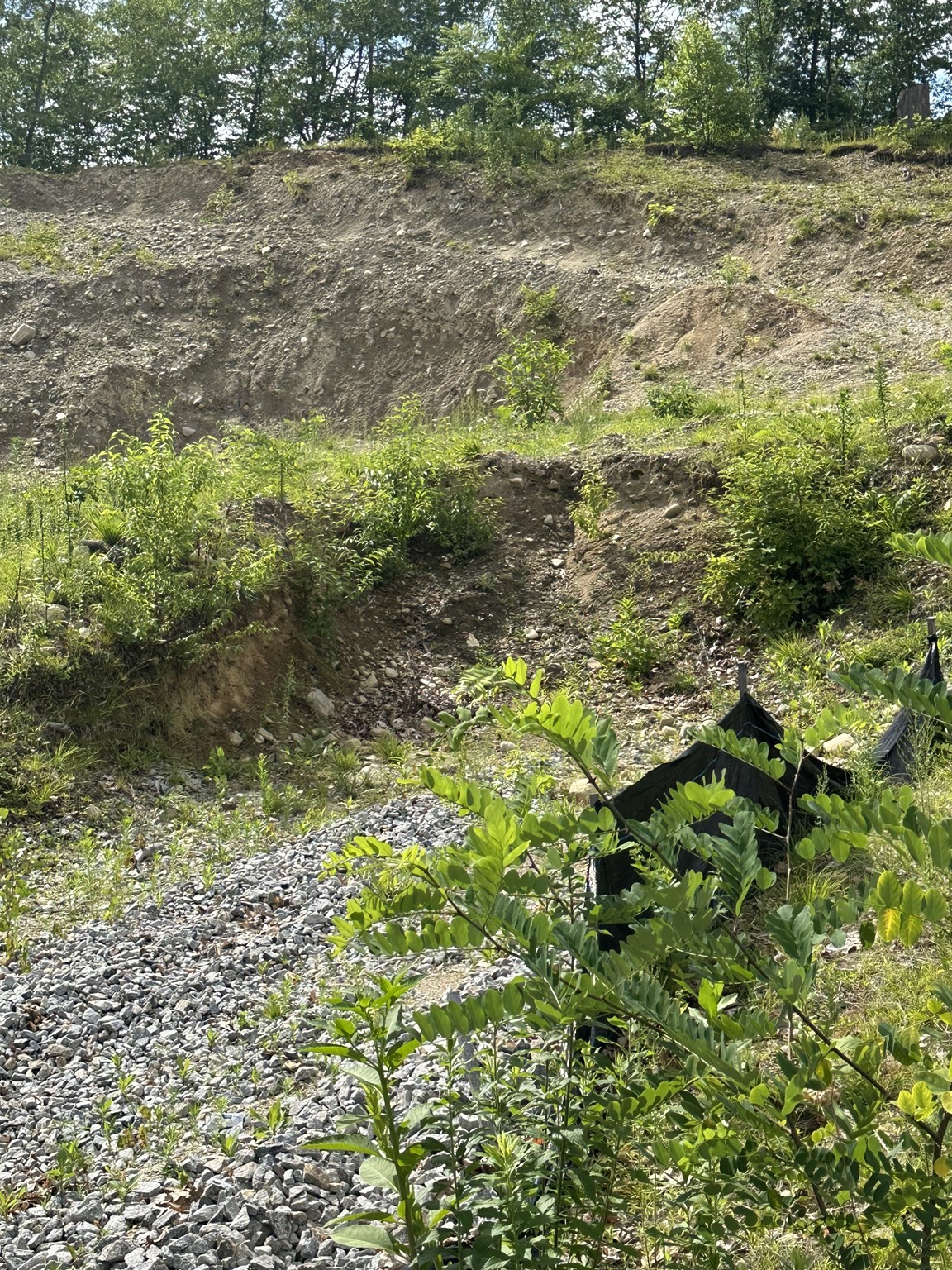 33 Walsh Ave, Auburn, MA 01501 - Image 6