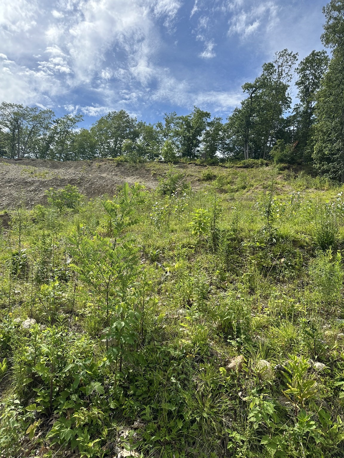 33 Walsh Ave, Auburn, MA 01501 - Image 8