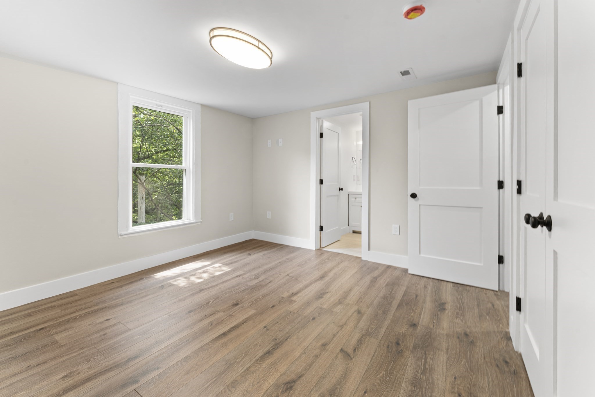dorchester - #73415460