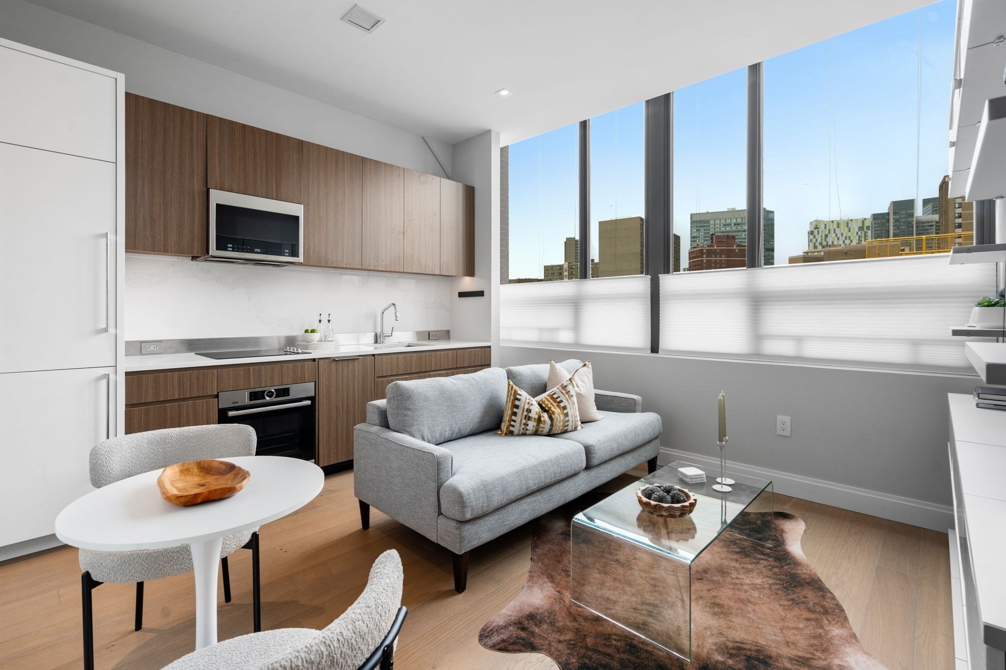 100 Shawmut Ave Unit 205, South End, Boston, MA 02118 - Image 2