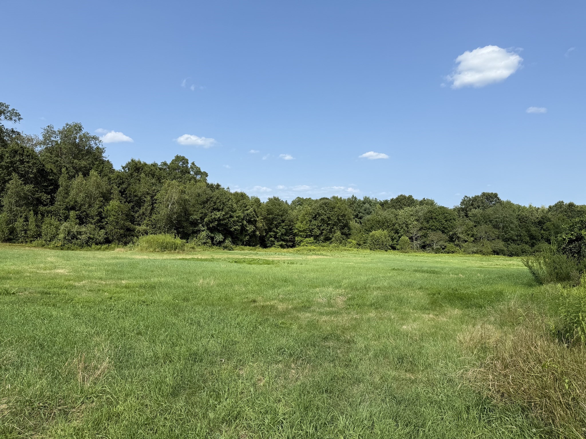 belchertown - #73415481