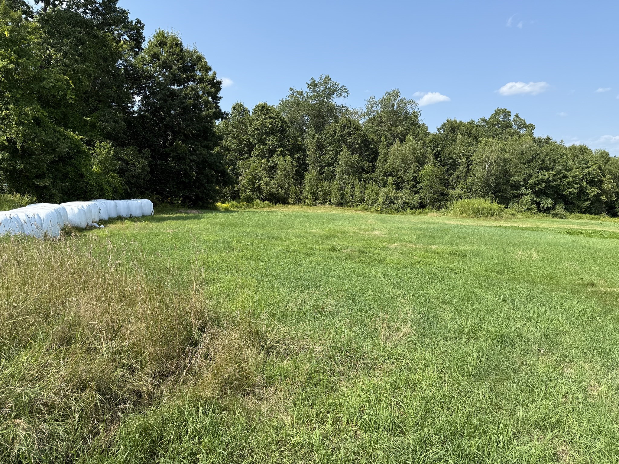 belchertown - #73415481