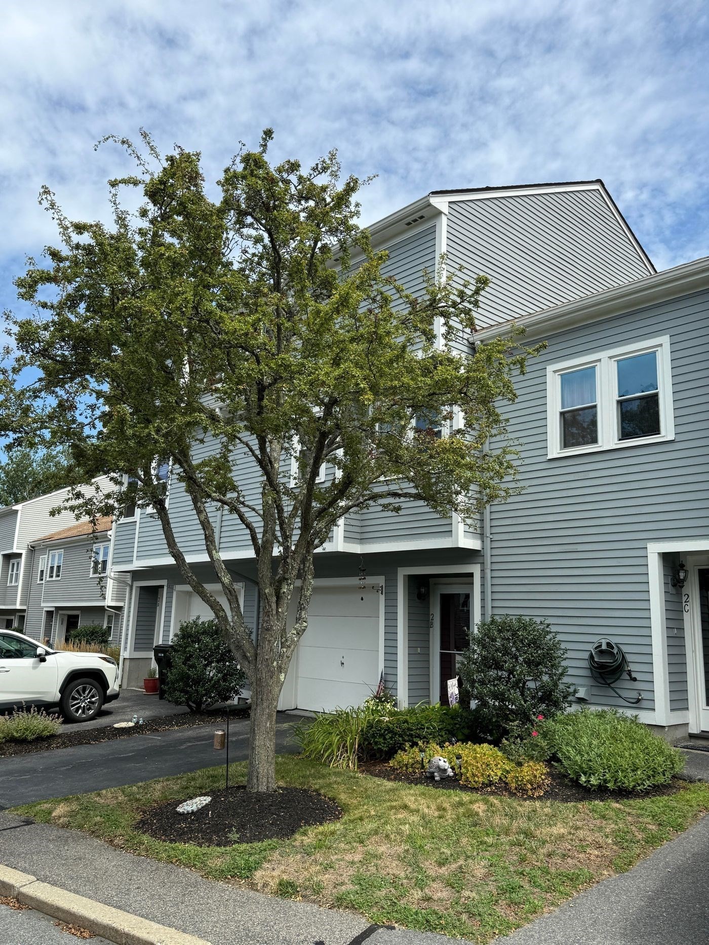 salem - #73415579