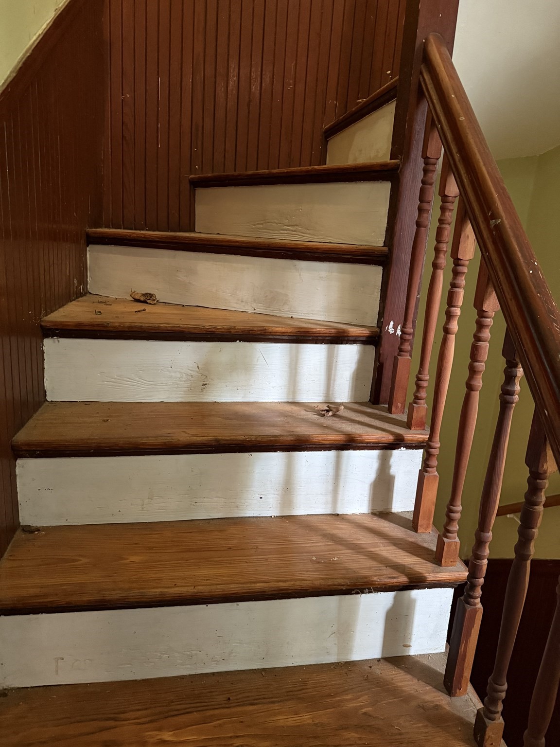 dorchester - #73415634