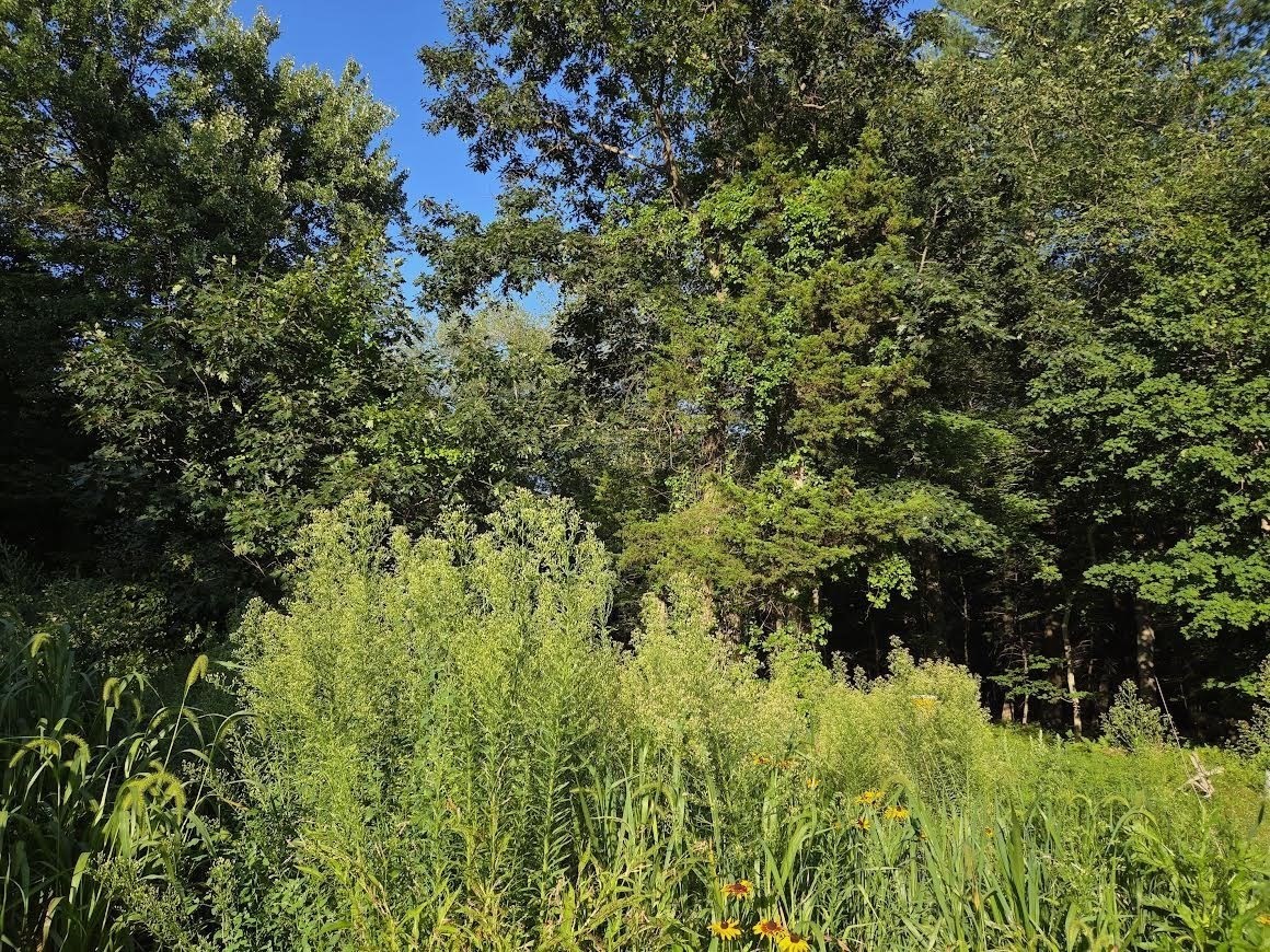 195 E Main St, Norton, MA 02766 - Image 14