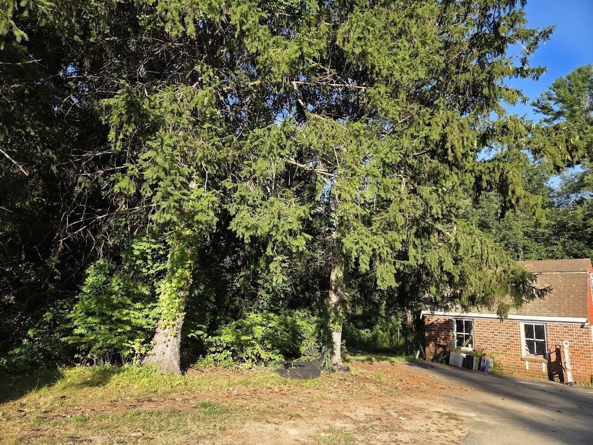 195 E Main St, Norton, MA 02766 - Image 15