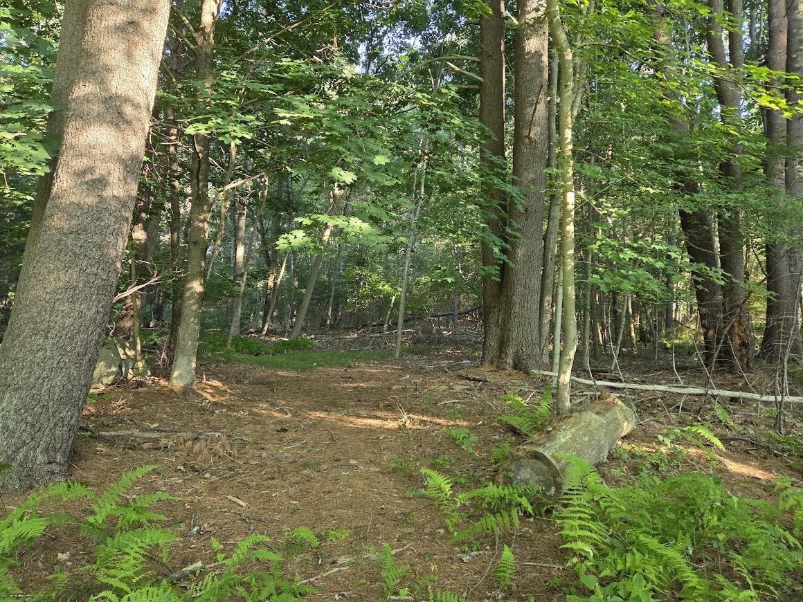 195 E Main St, Norton, MA 02766 - Image 16