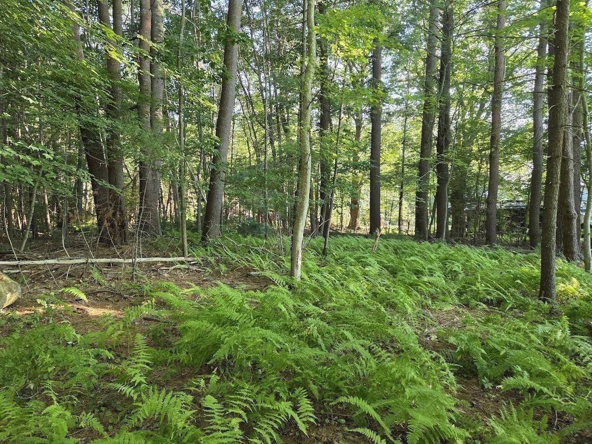 195 E Main St, Norton, MA 02766 - Image 6