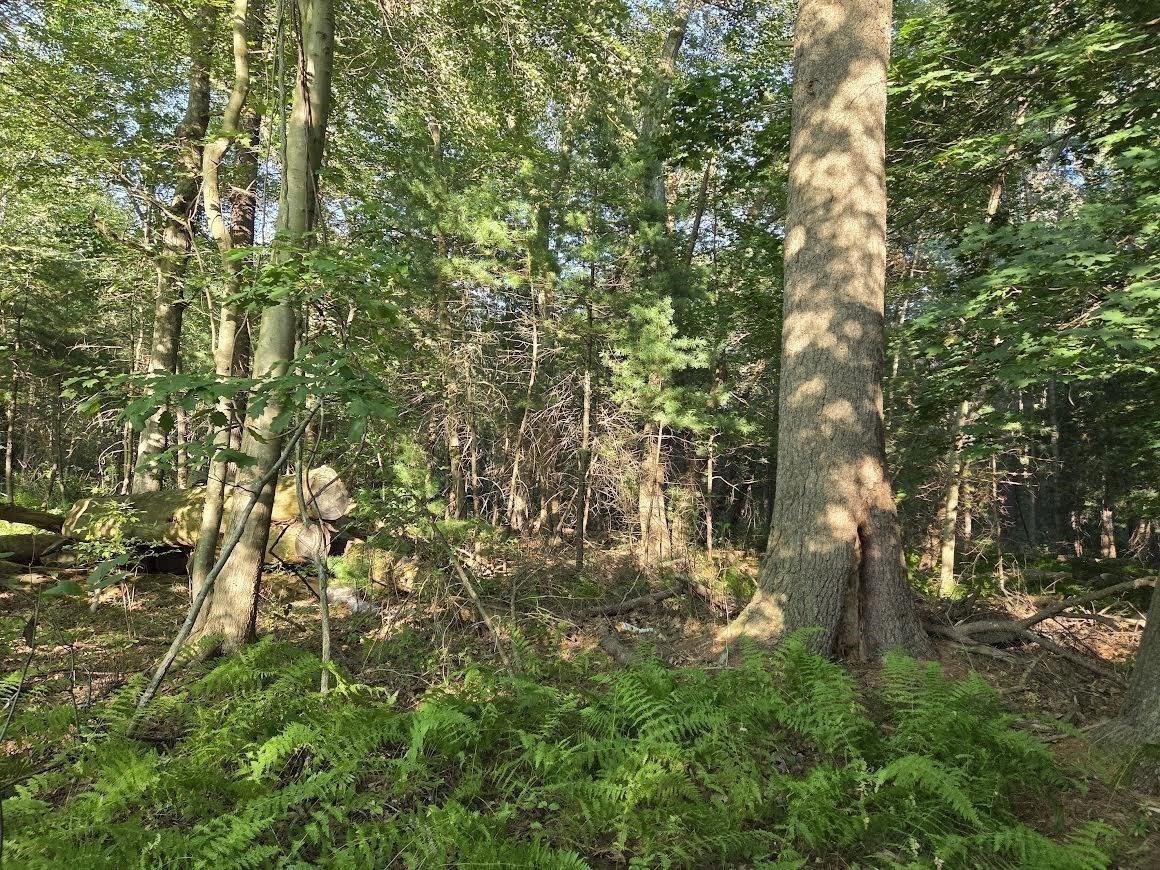 195 E Main St, Norton, MA 02766 - Image 7