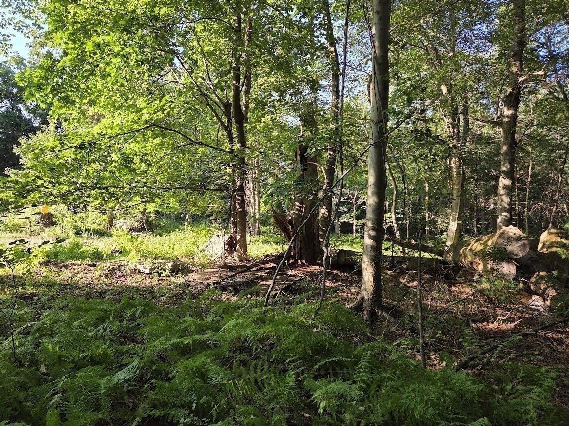 195 E Main St, Norton, MA 02766 - Image 8