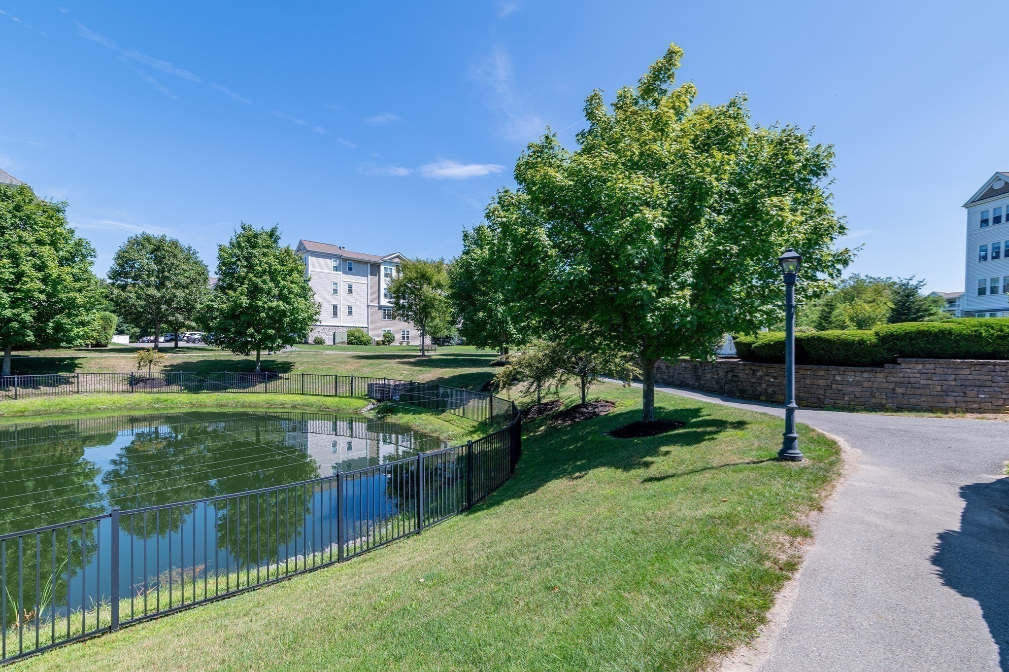 braintree - #73415824