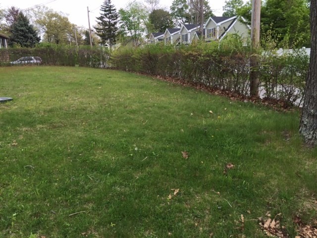 5 Fyrbeck Ave, Shrewsbury, MA 01545 - Image 2