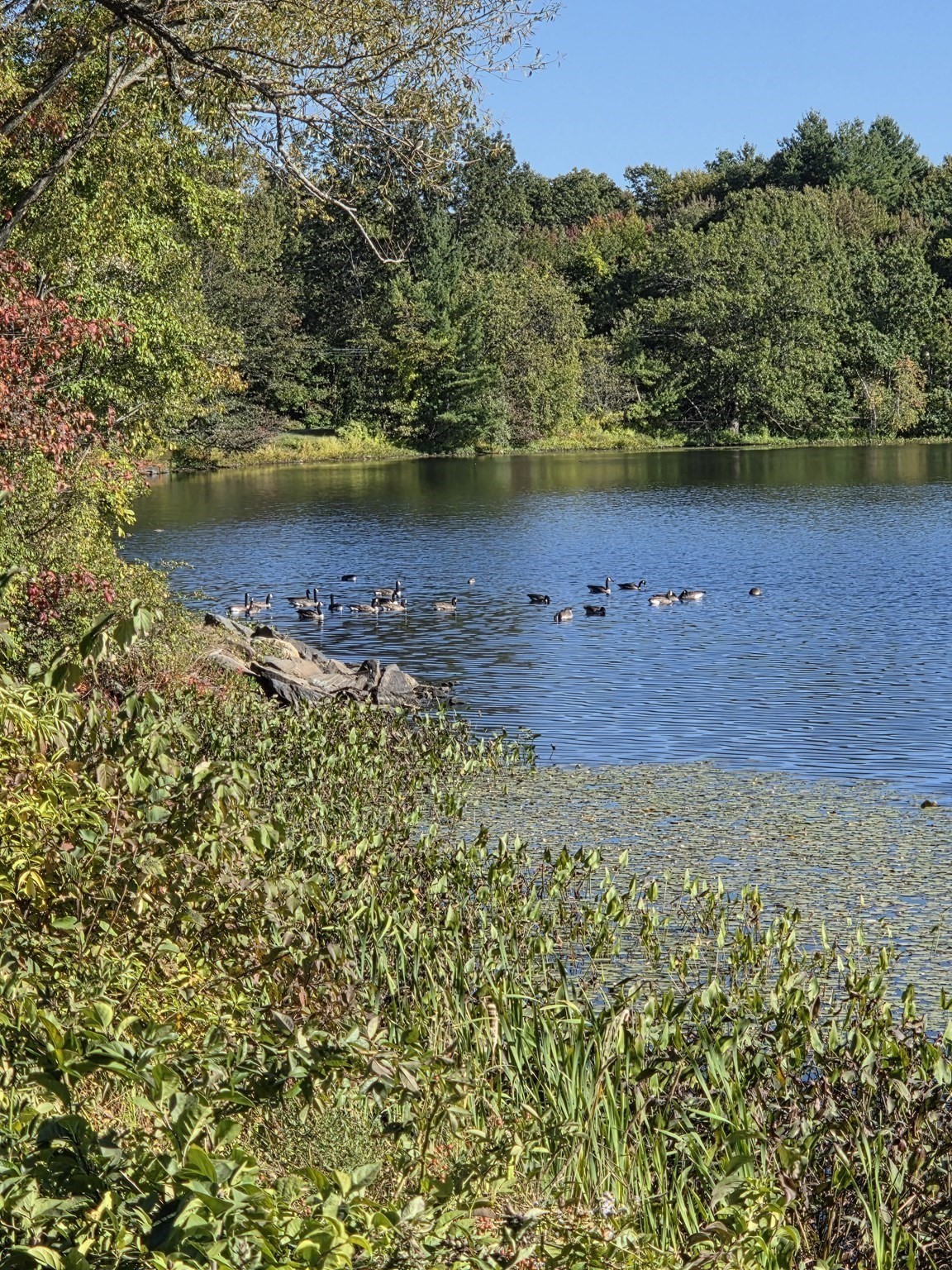 3102 Peters Farm Way Unit 102, Westborough, MA 01581 - Image 22