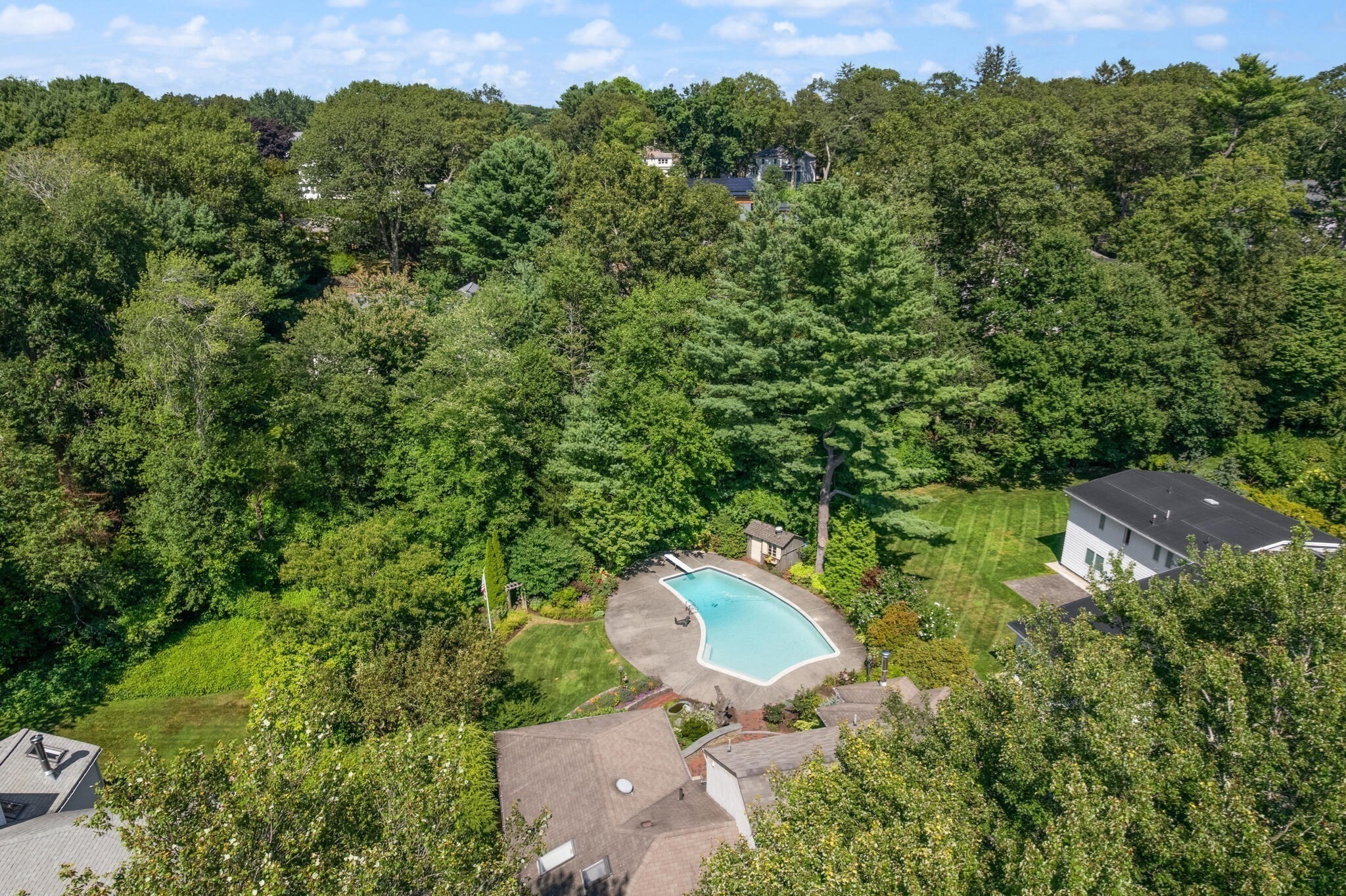 belmont - #73416045