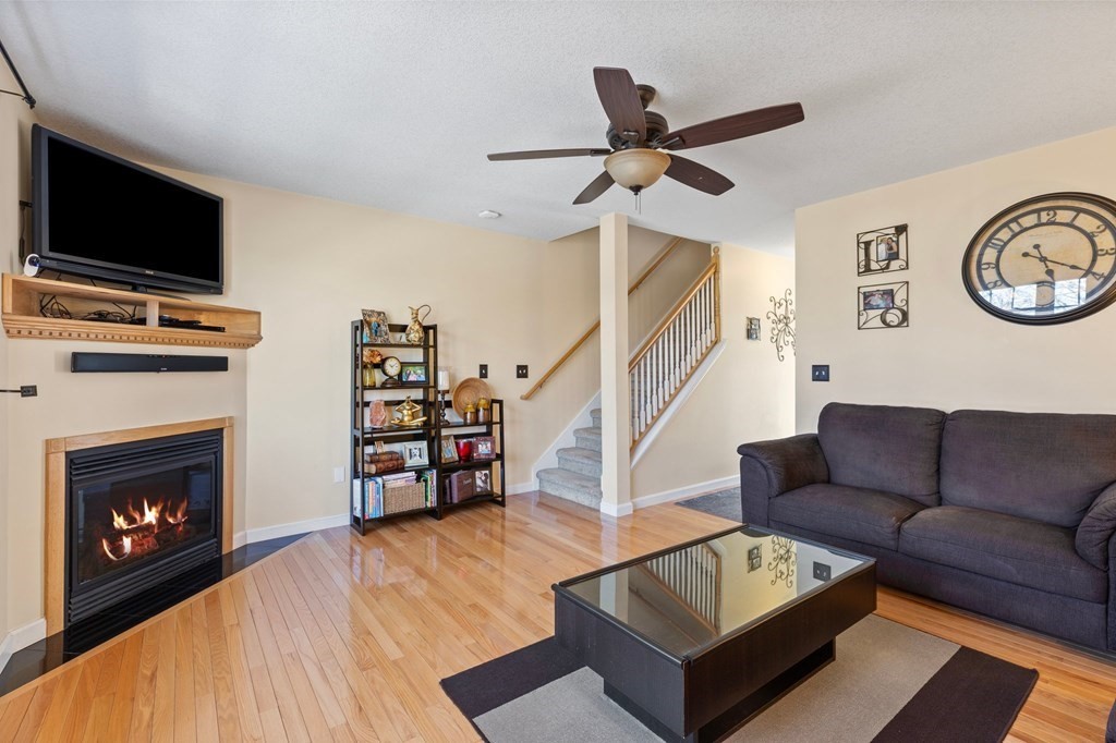 chicopee - #73416124