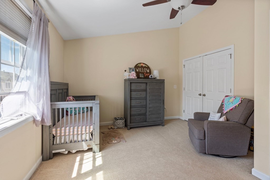 chicopee - #73416124