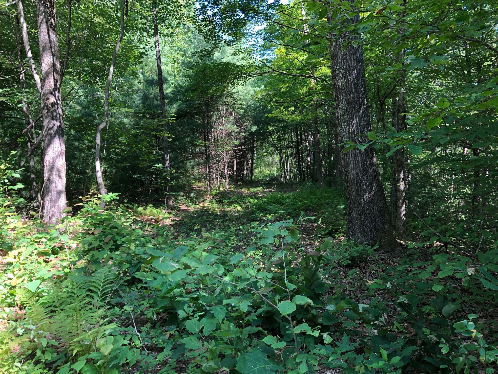 2 North Gulf Rd, Belchertown, MA 01007 - Image 3