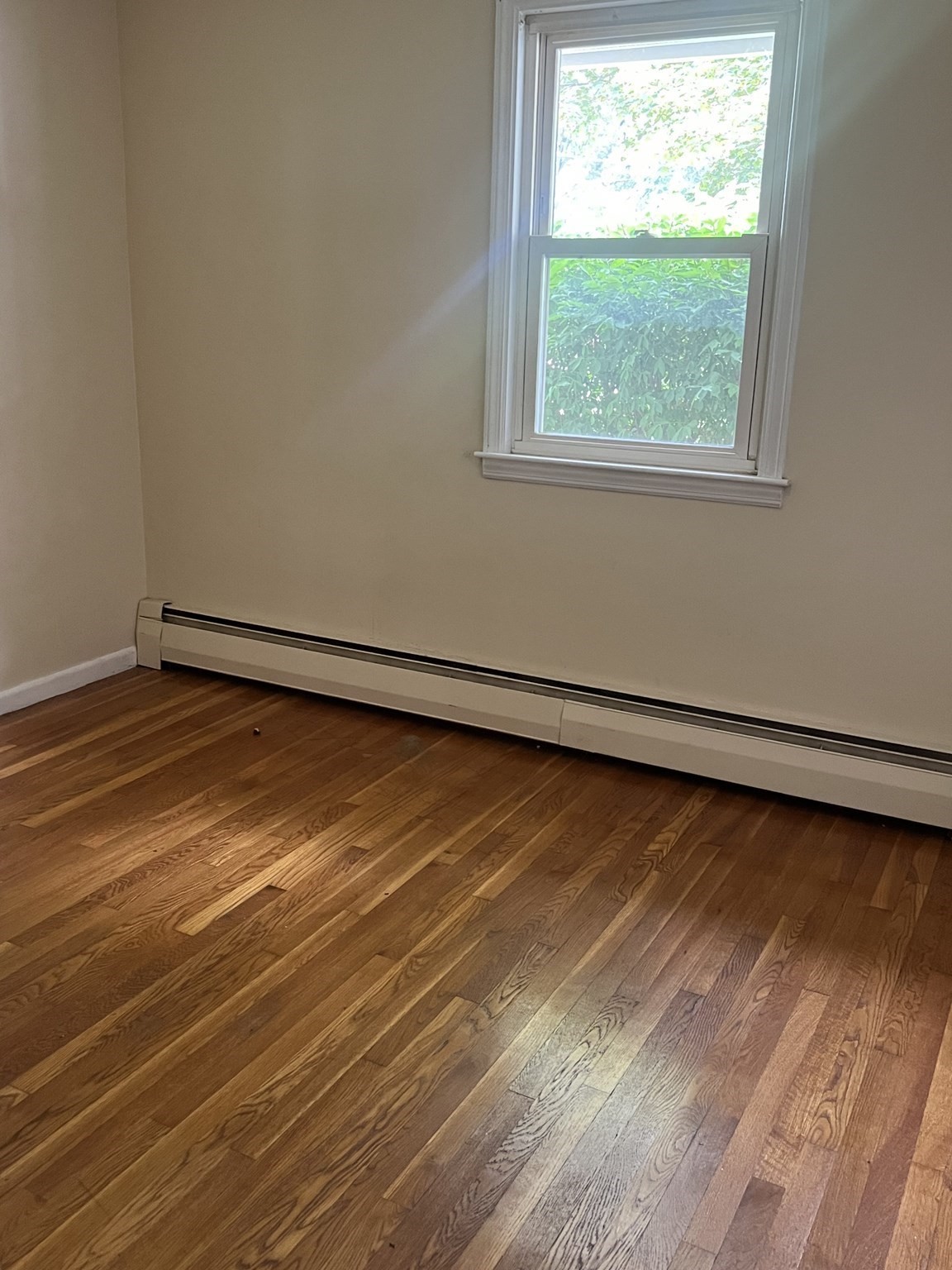 worcester - #73416330