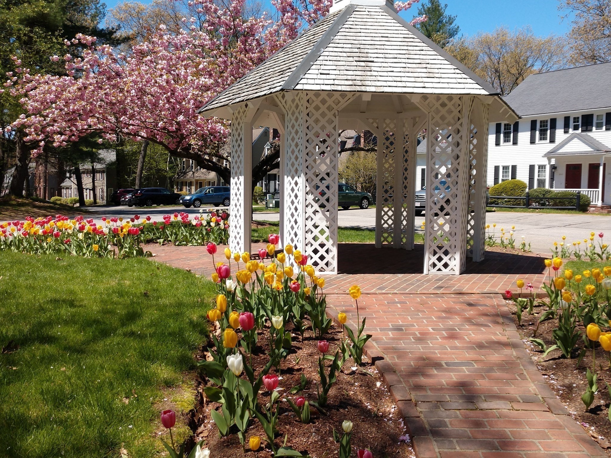 chelmsford - #73416495