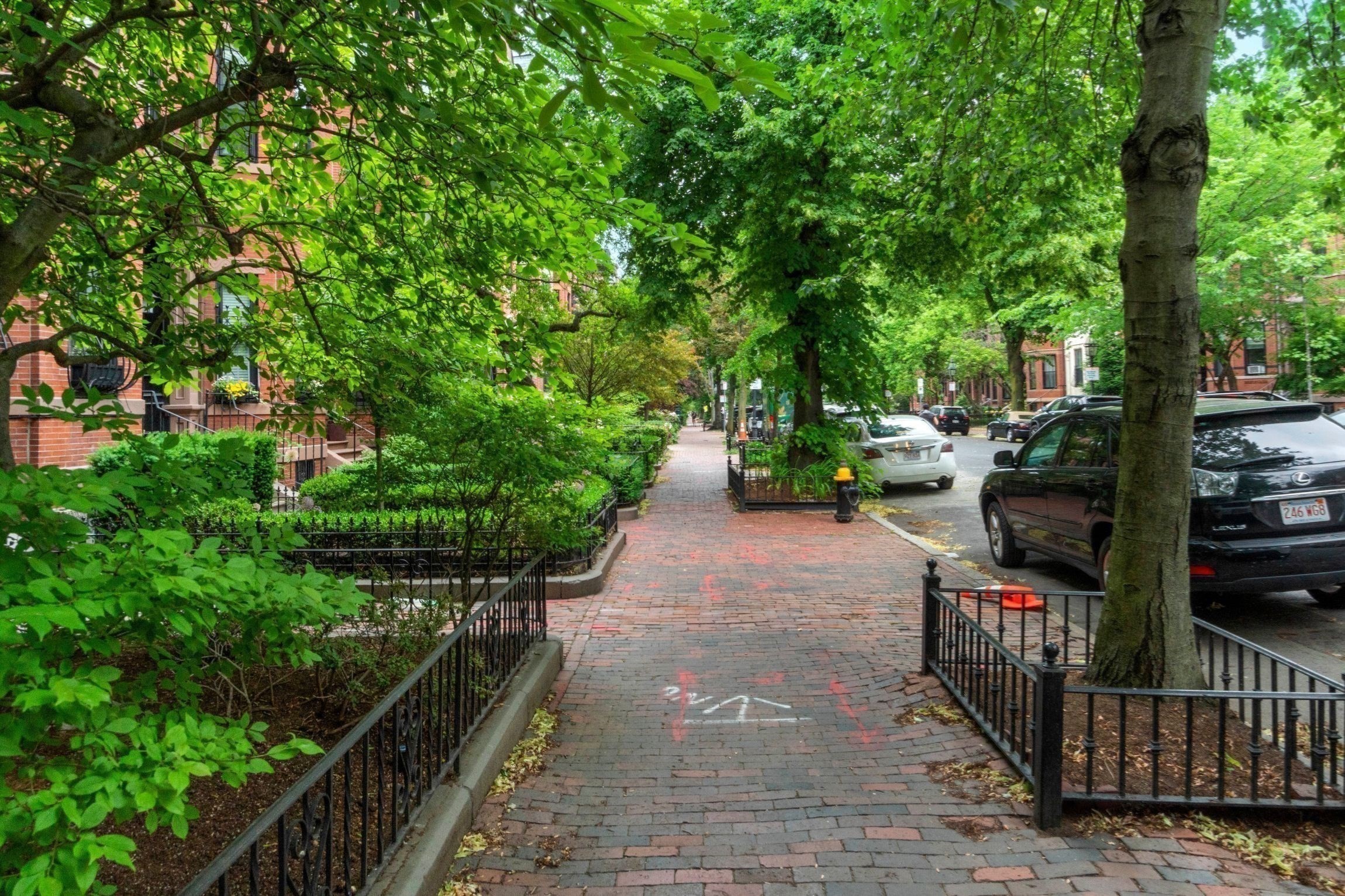 back-bay - #73416589