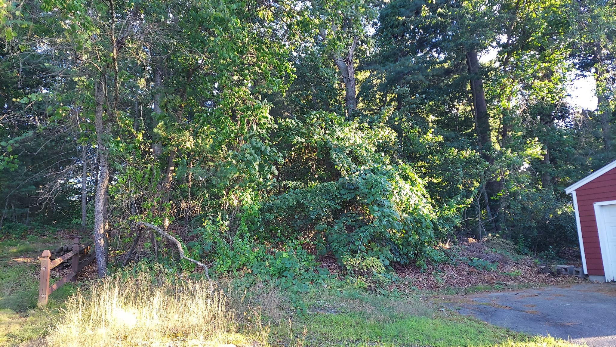 17 Glenvale Ave, Billerica, MA 01821 - Image 11