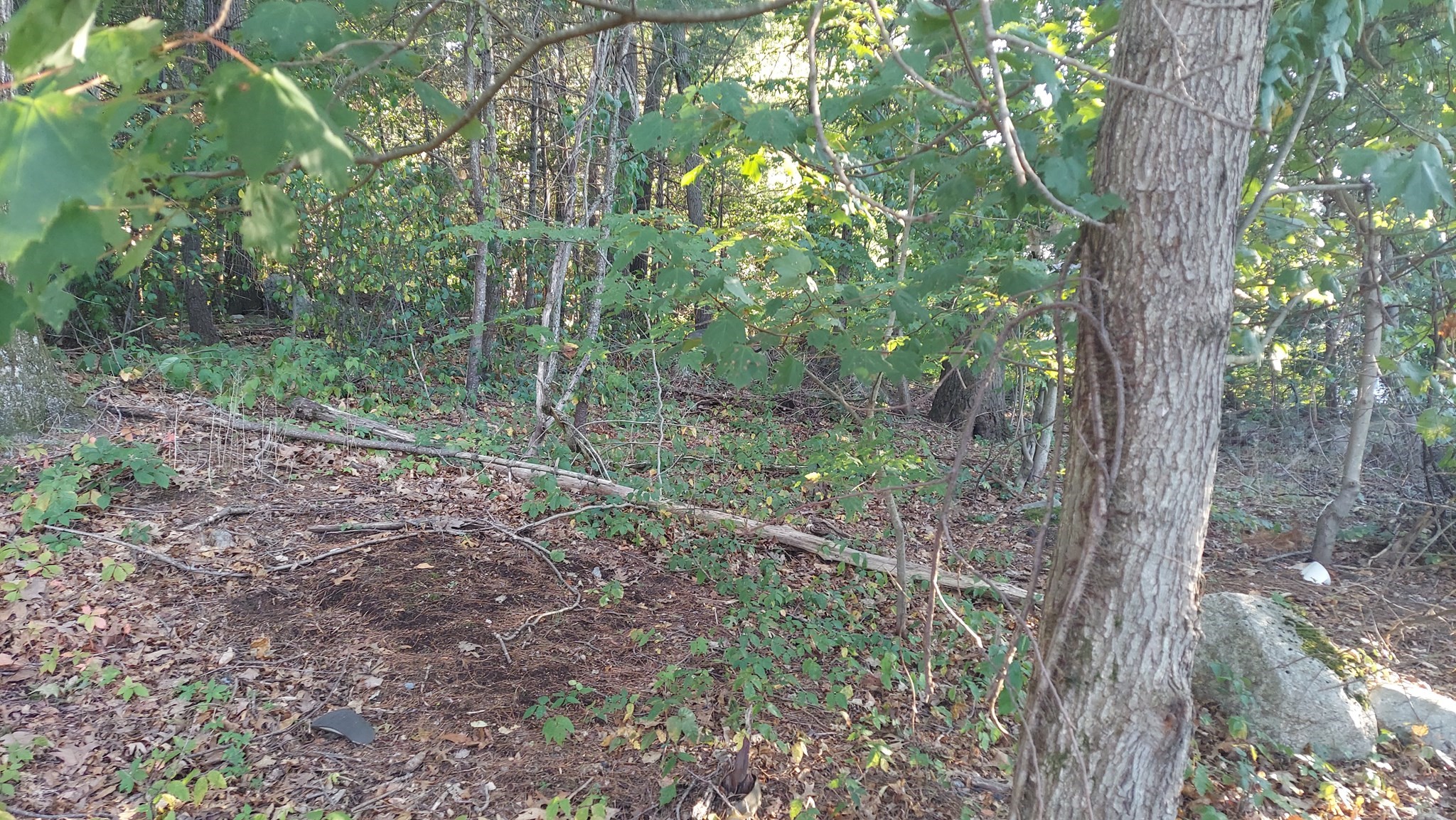 17 Glenvale Ave, Billerica, MA 01821 - Image 7