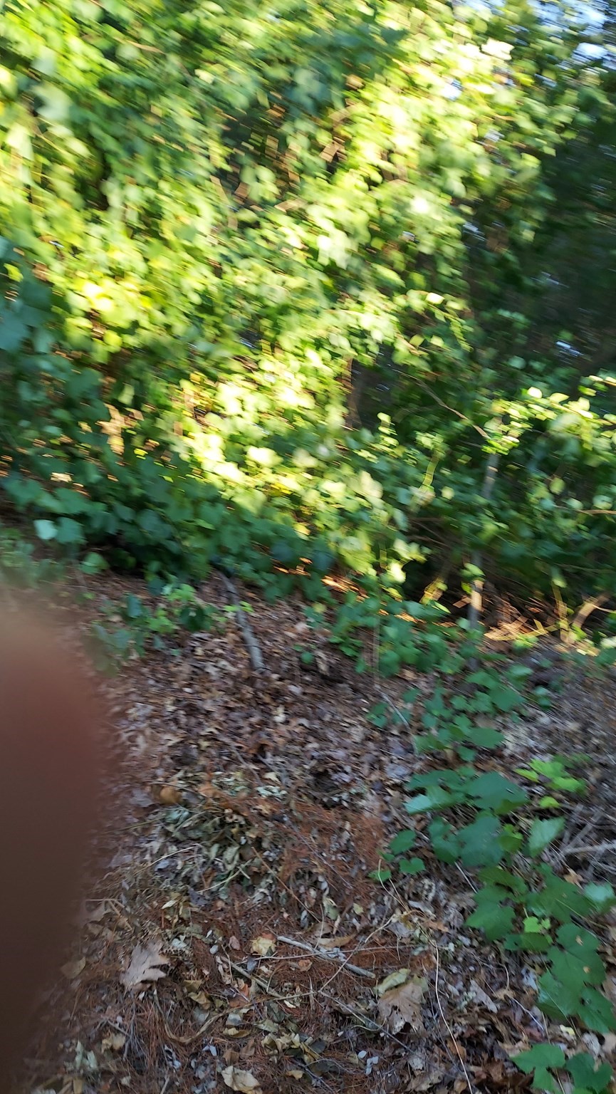 17 Glenvale Ave, Billerica, MA 01821 - Image 8