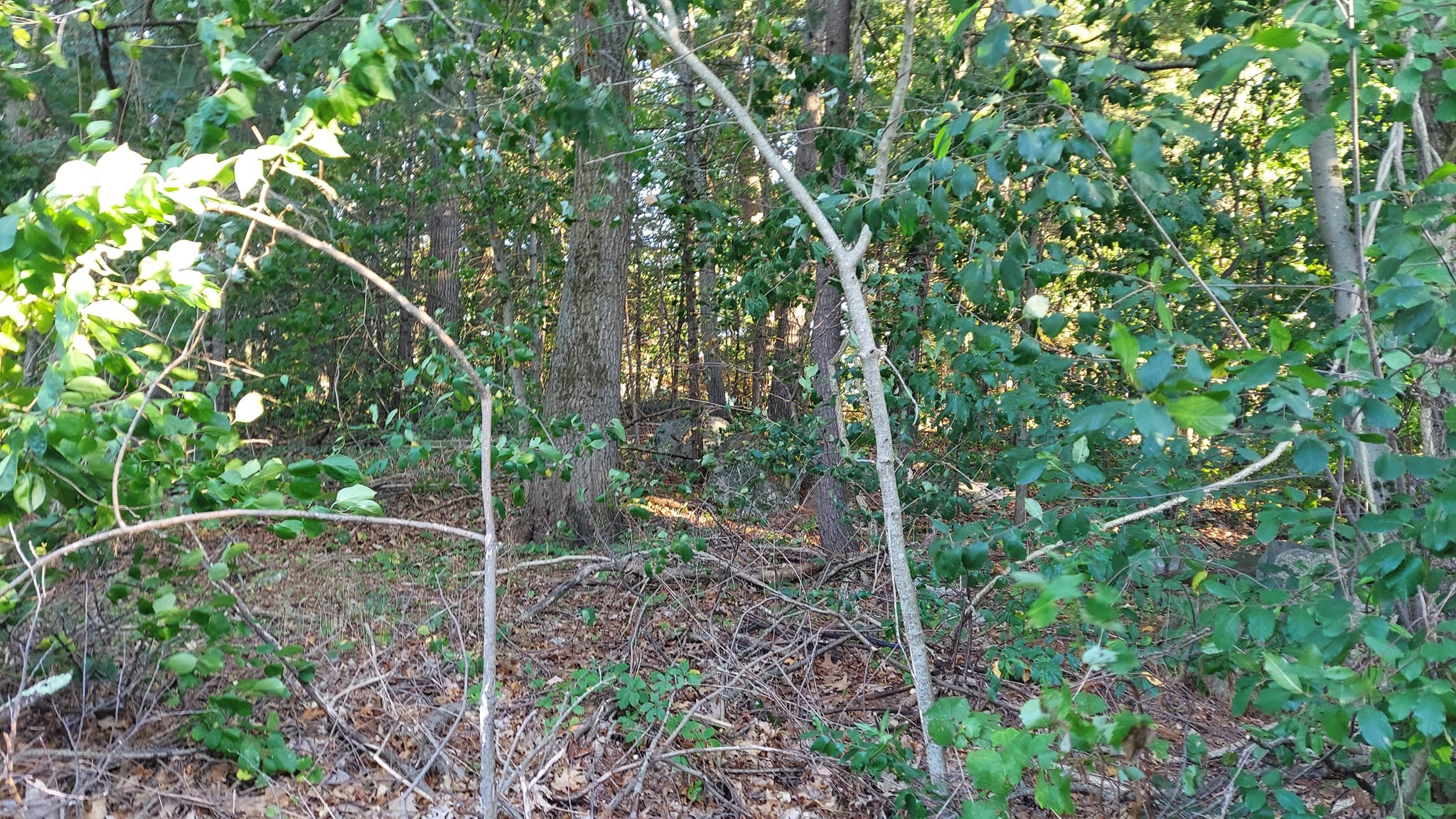 17 Glenvale Ave, Billerica, MA 01821 - Image 9