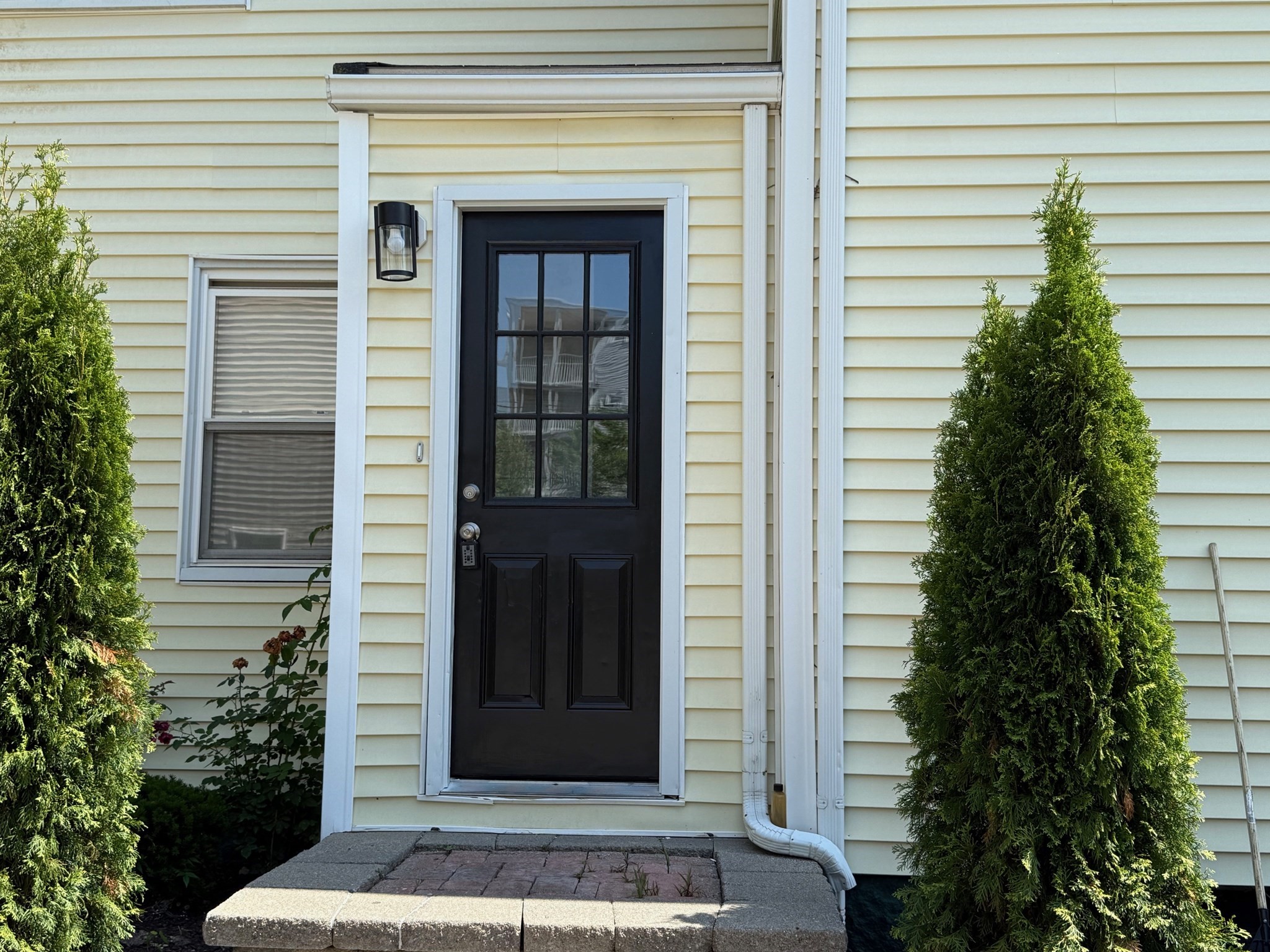 dorchester - #73416810