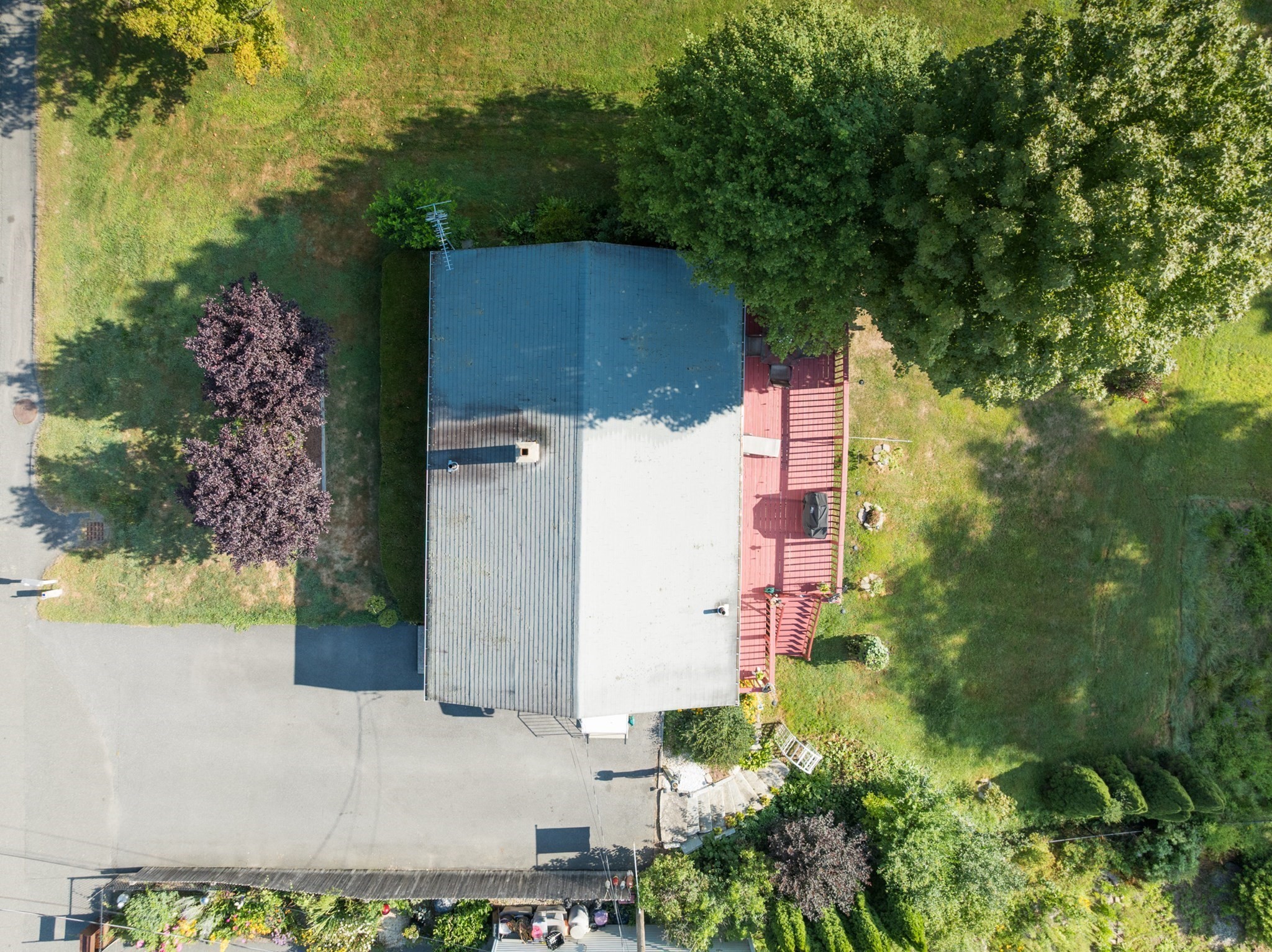 greenfield - #73416822