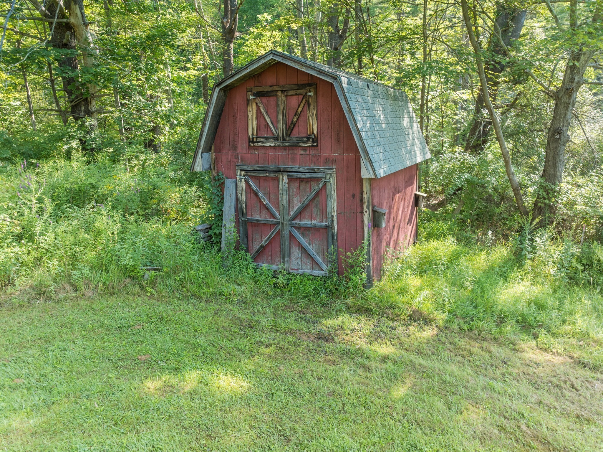 greenfield - #73416822