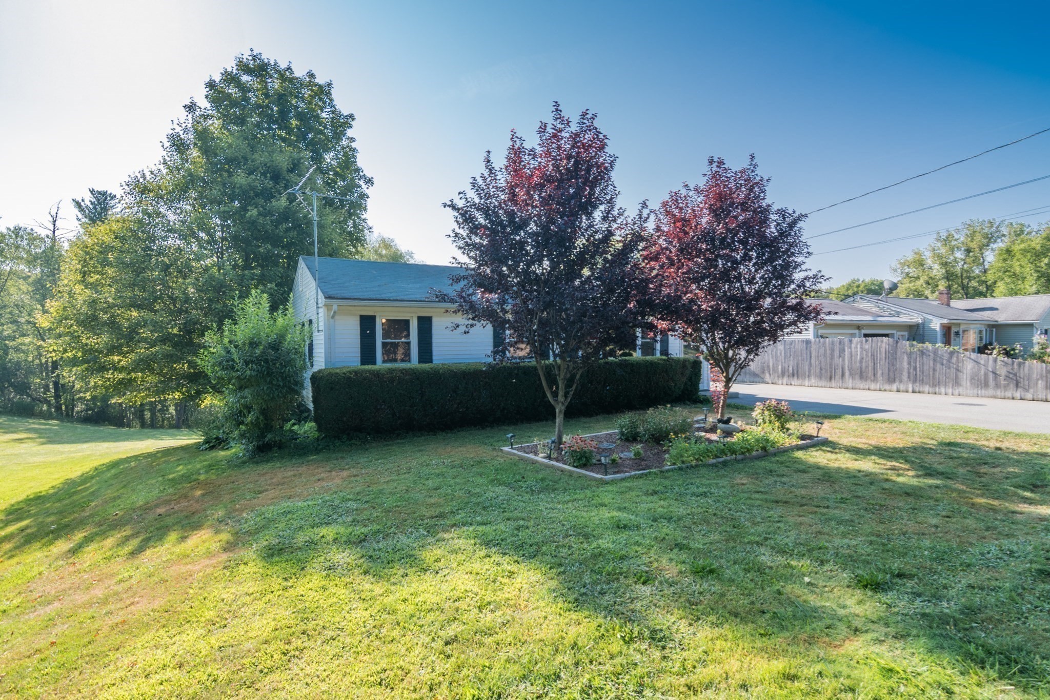 greenfield - #73416822