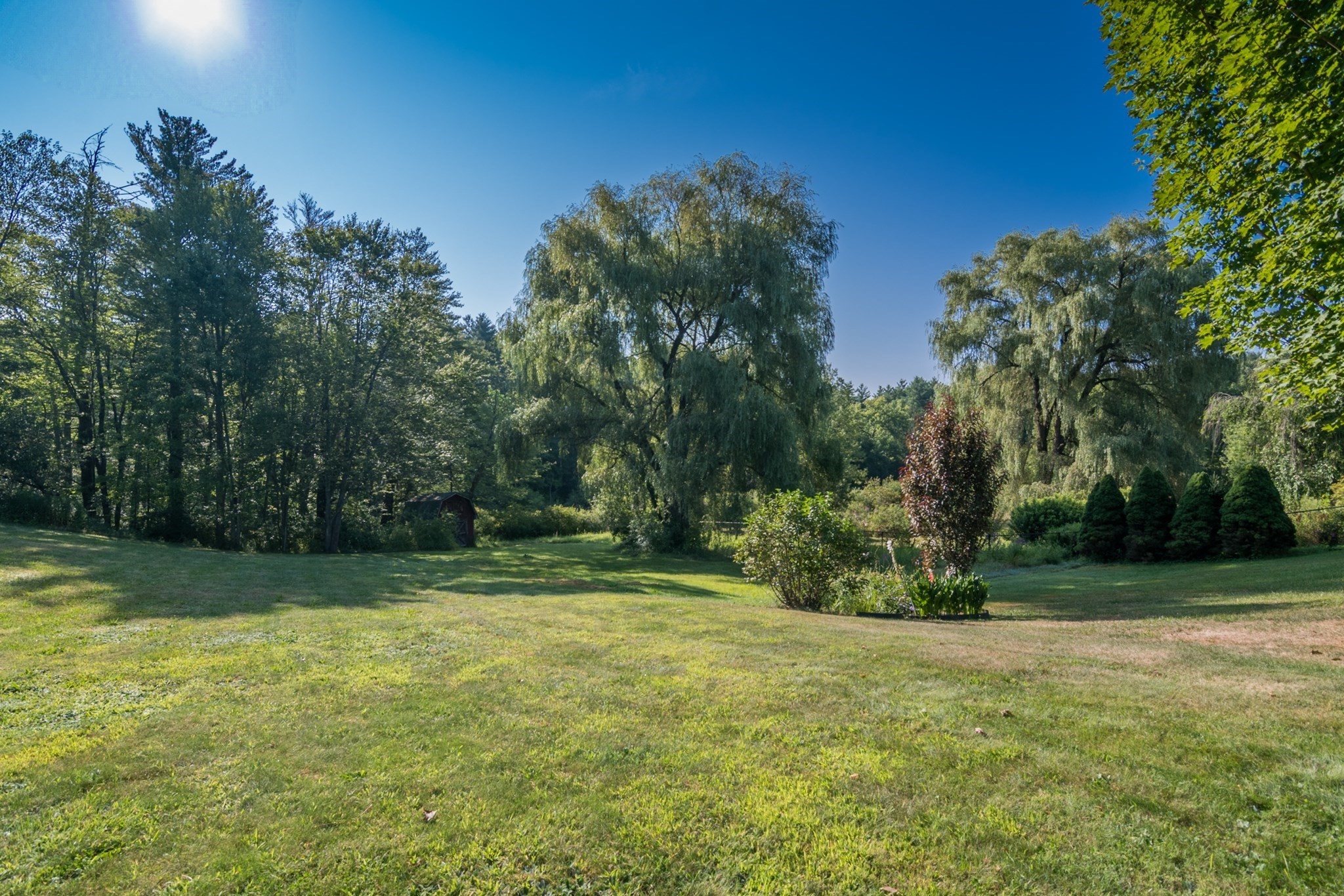 greenfield - #73416822