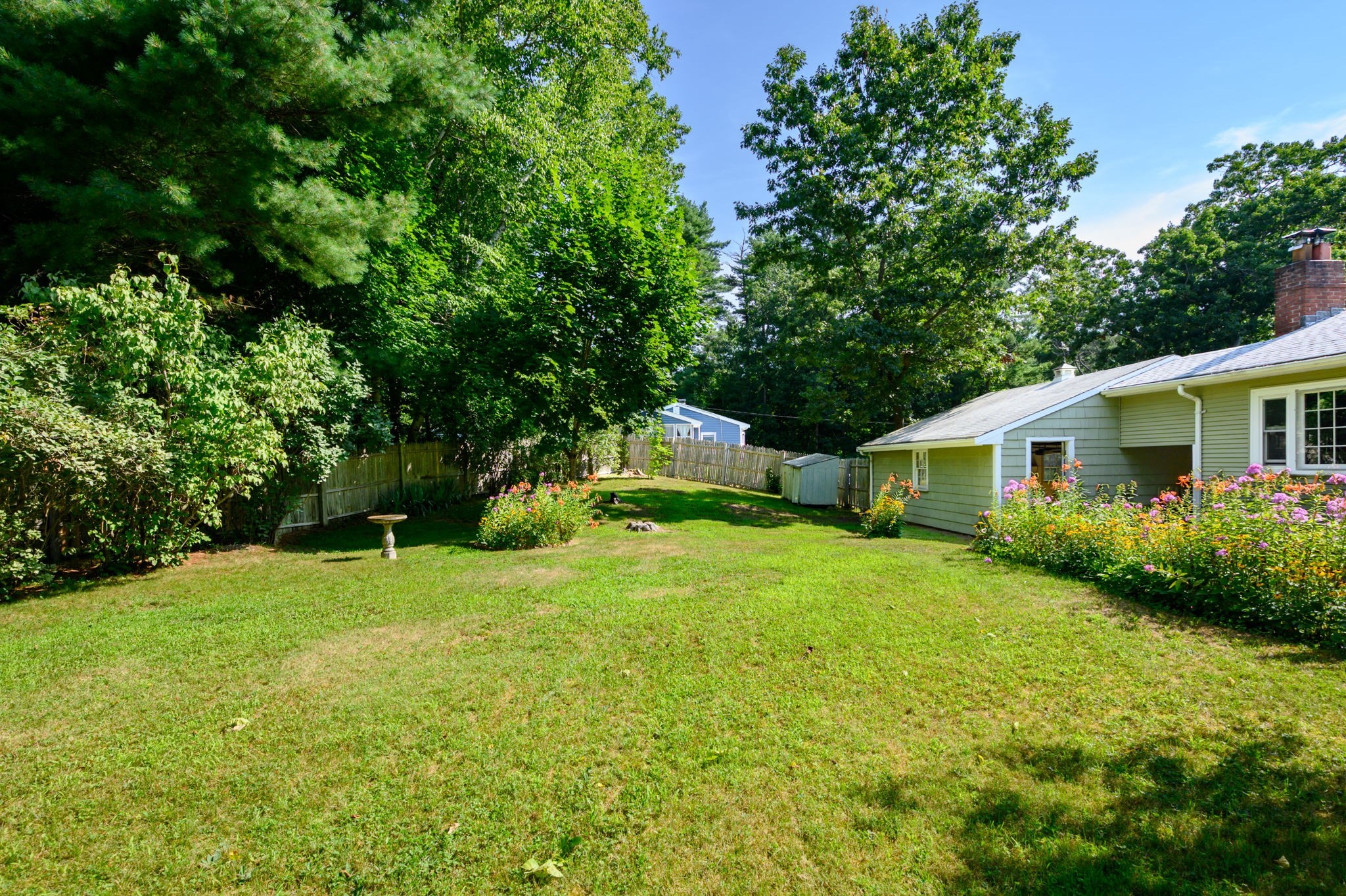 pembroke - #73416955